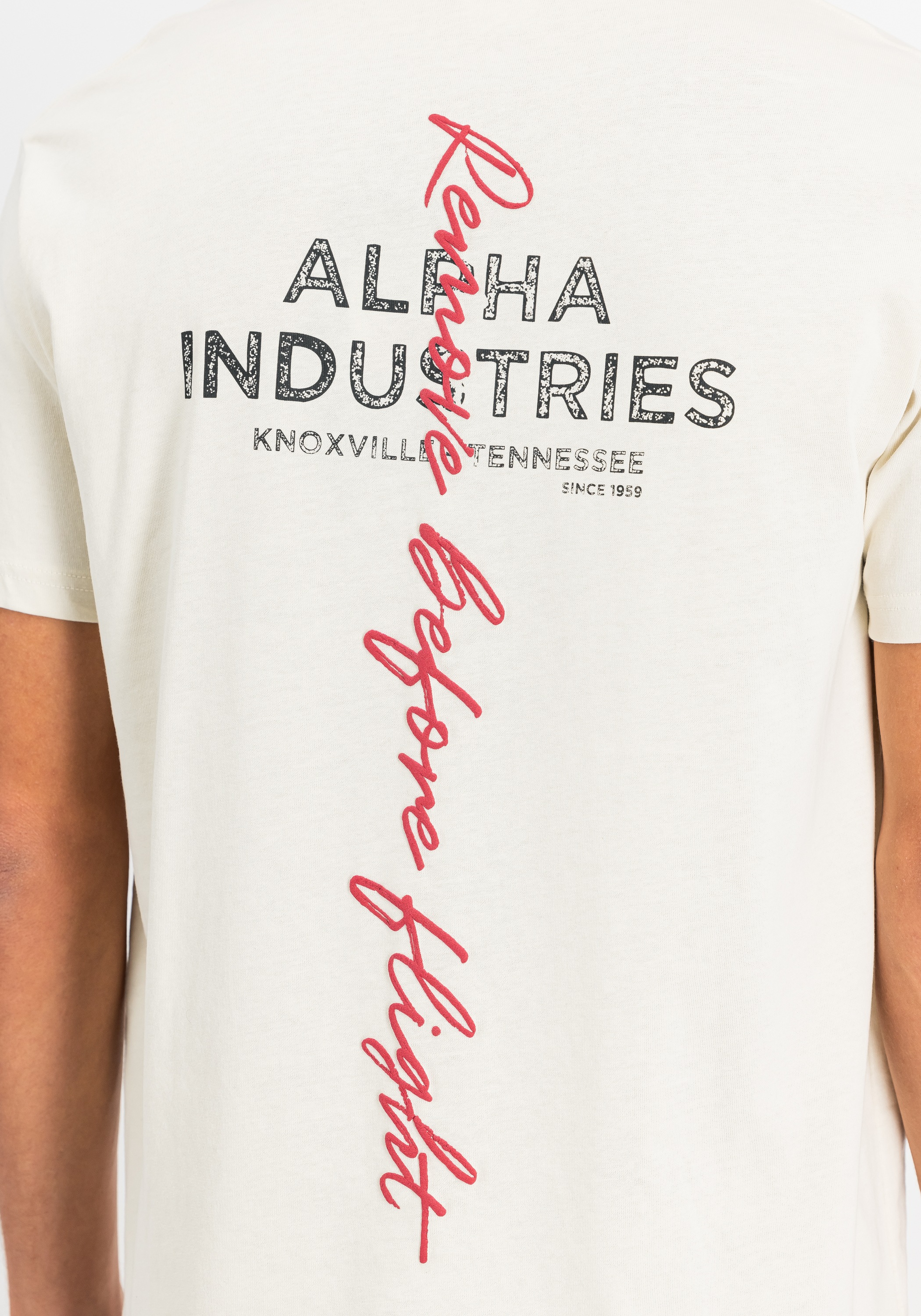 Alpha Industries T-Shirt »Alpha Industries Men - T-Shirts Signature Back Print T«