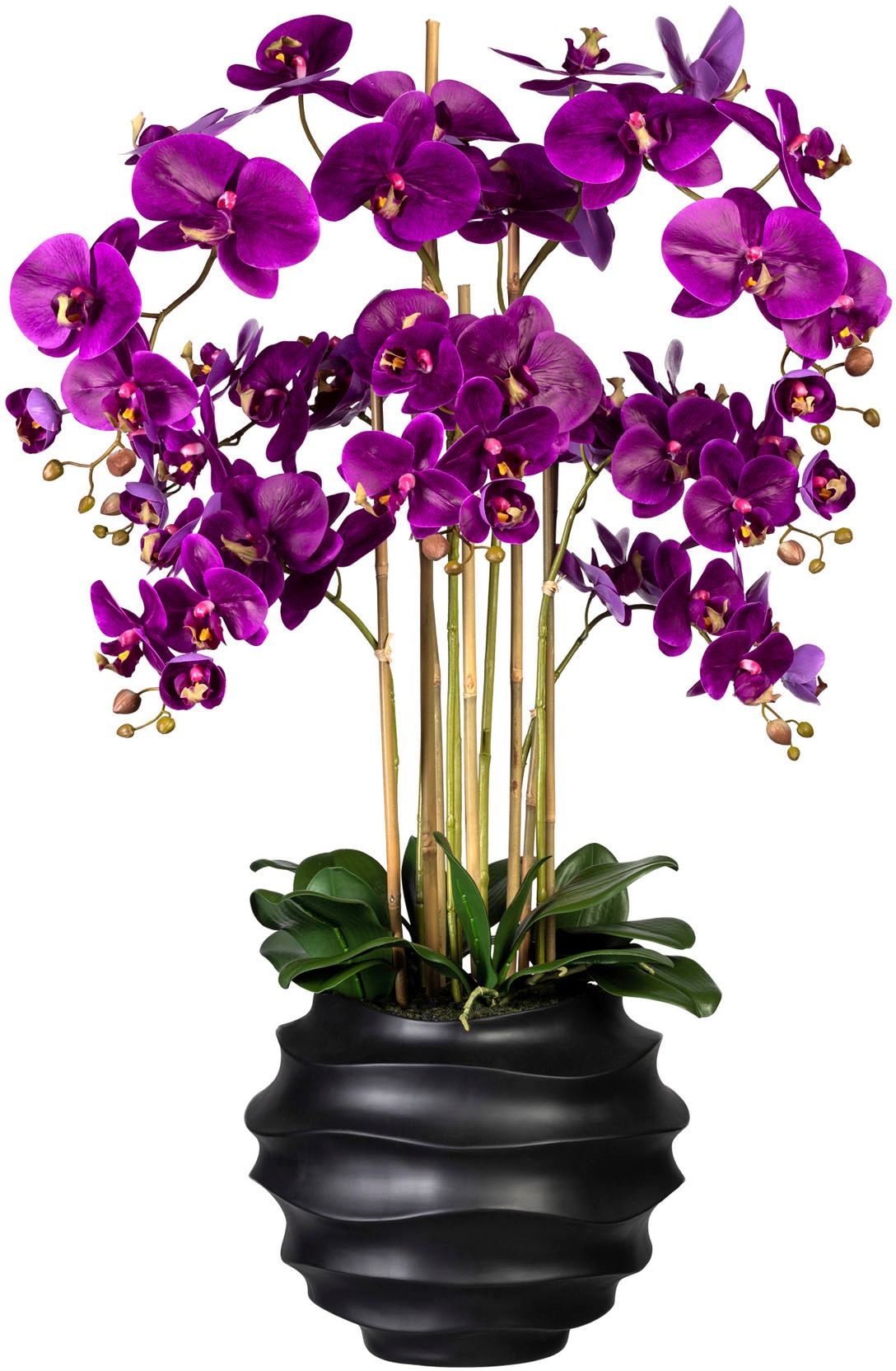 Creativ green Kunstorchidee »Phalaenopsis«, (1 St.), in Design-Kunststoffvase kaufen