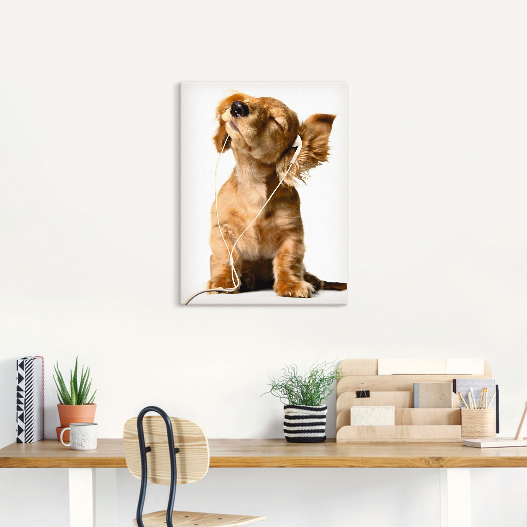 Artland Wandbild »Junger Hund hört Musik über Kopfhörer«, Haustiere, (1 St.), als Leinwandbild, Poster, Wandaufkleber in verschied. Größen