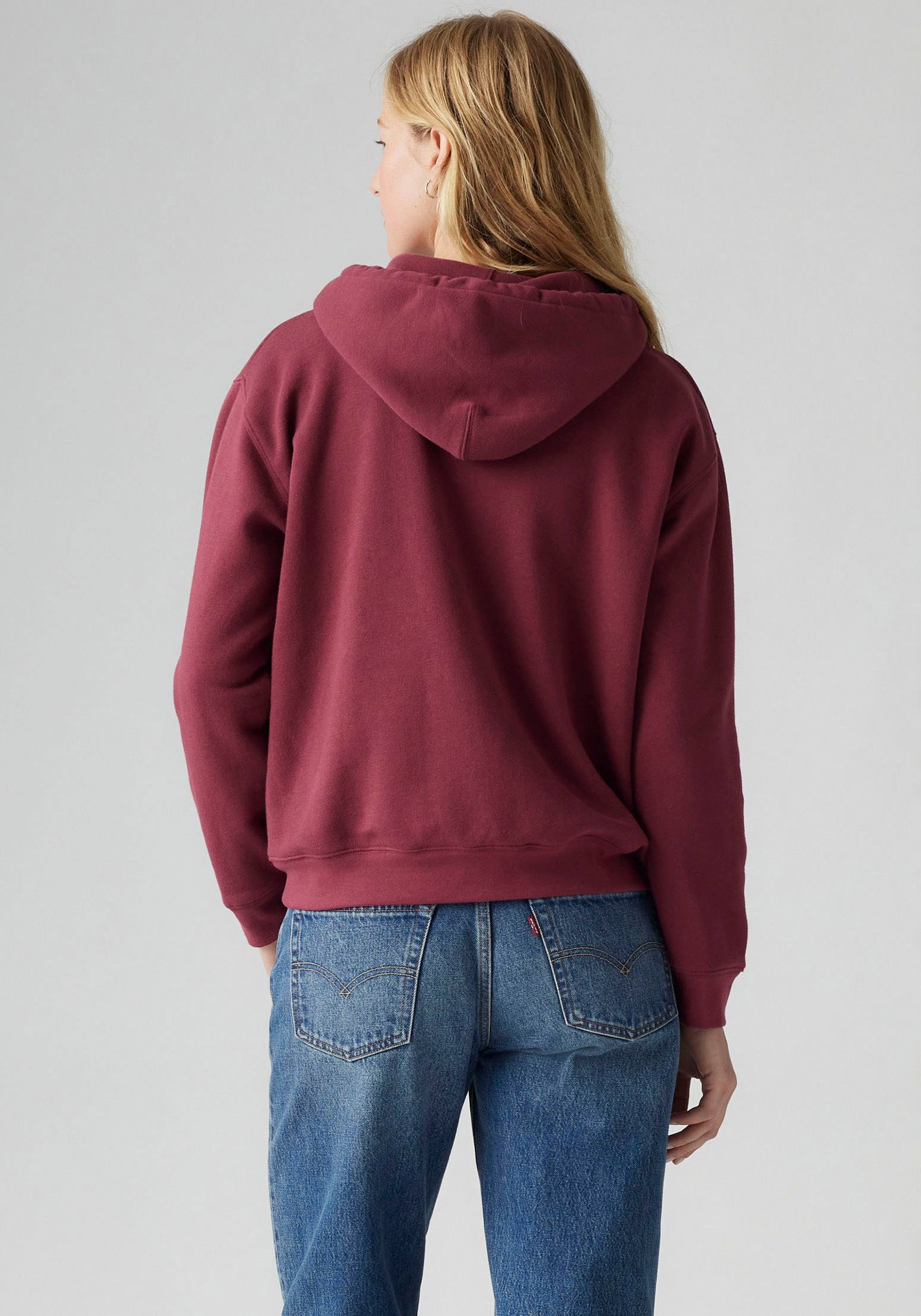 Levi's® Kapuzensweatshirt »EVERYDAY HOODIE«