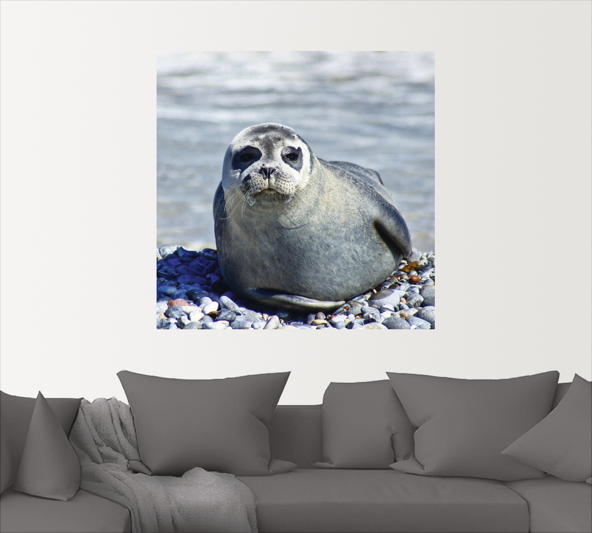 Artland Wandbild »Robbe am Strand von Helgoland«, Wassertiere, (1 St.), als Wandaufkleber in verschied. Größen