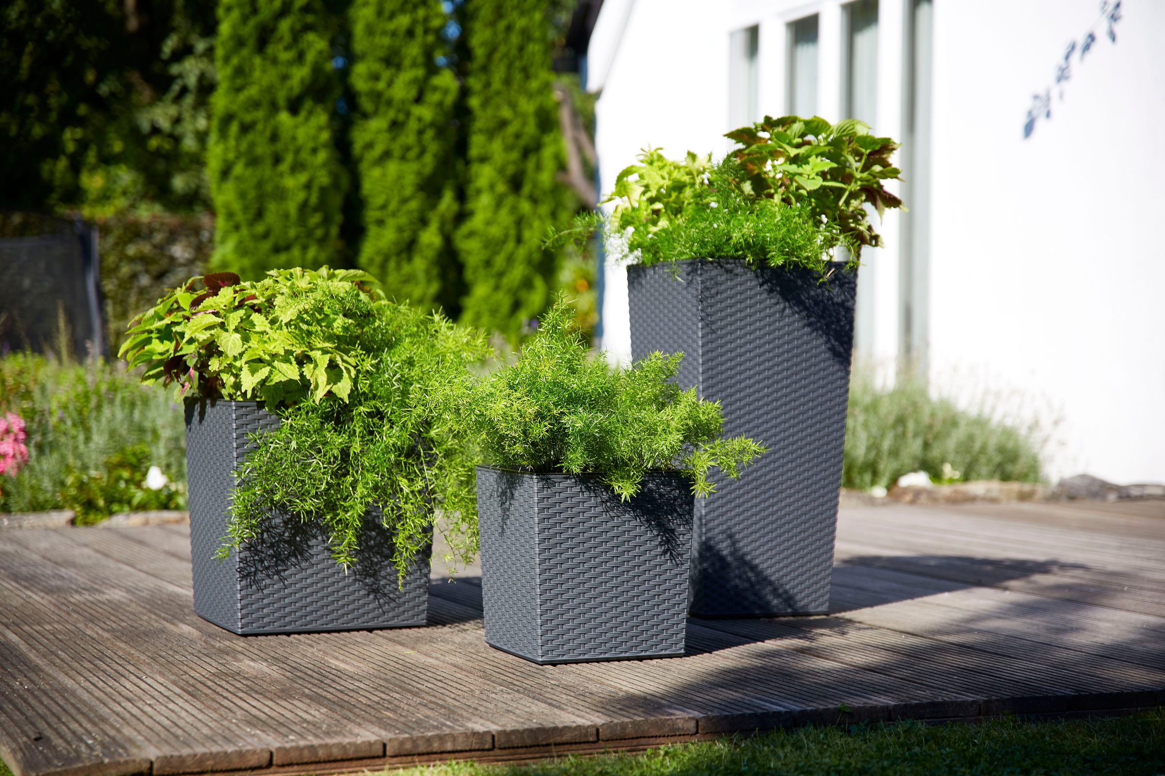 Siena Garden Pflanzkübel, Rattanoptik, eckig