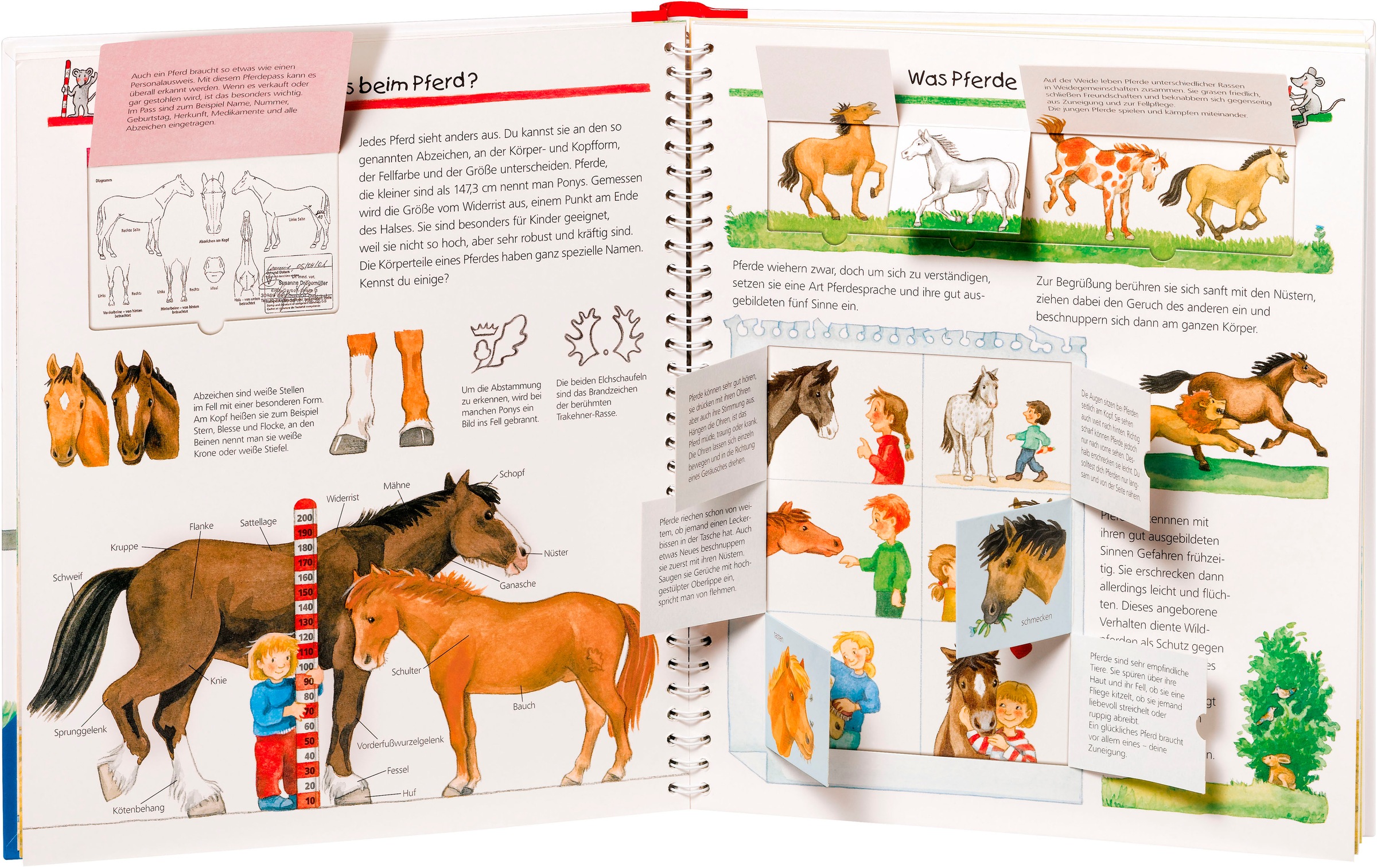 Ravensburger Buch »Wieso? Weshalb? Warum?, Band 21: Alles über Pferde und Ponys«