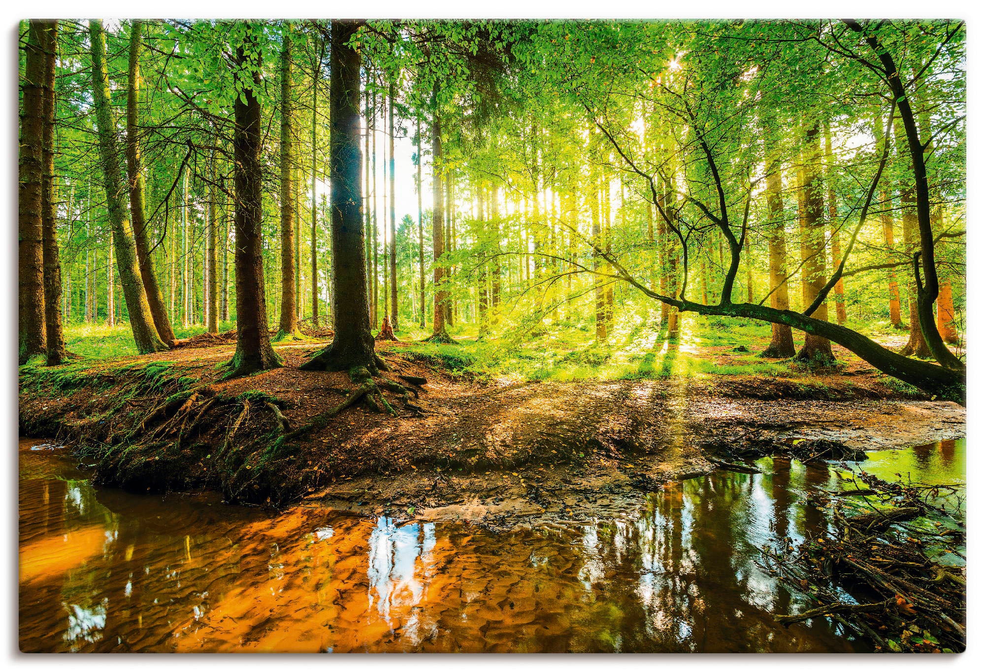 Artland Wandbild "Wald mit Bach", Wald, (1 St.), als Alubild, Outdoorbild, günstig online kaufen