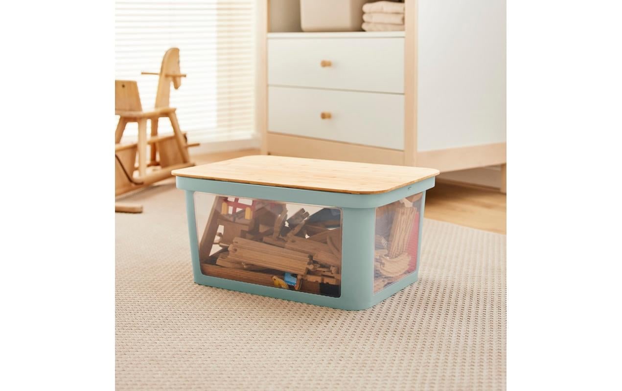 Rotho Babydesign Aufbewahrungsbox »Spielzeugbox PINA 45 l Sage«