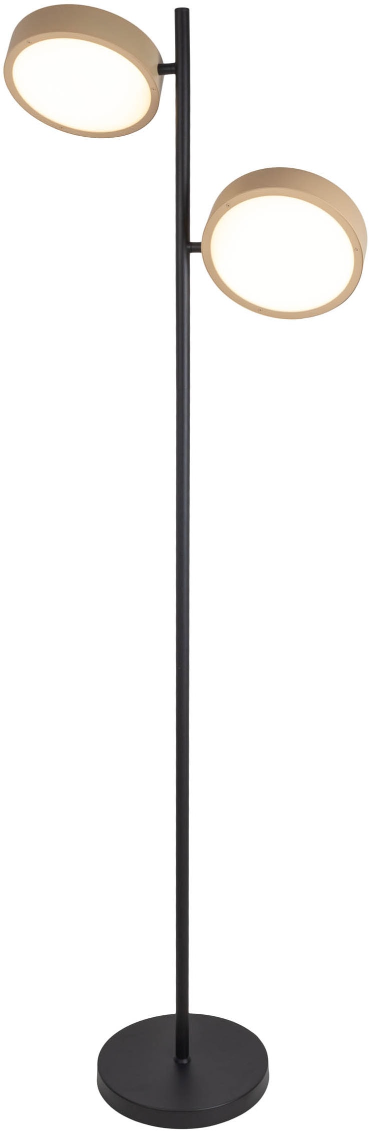 näve LED Stehlampe »Tessa«, 2 flammig, Leuchtmittel LED-Modul | LED wechselbar, stufenlos dimmbar per Tastschalter, CCT-Funktion, Zuleitung ca. 180cm
