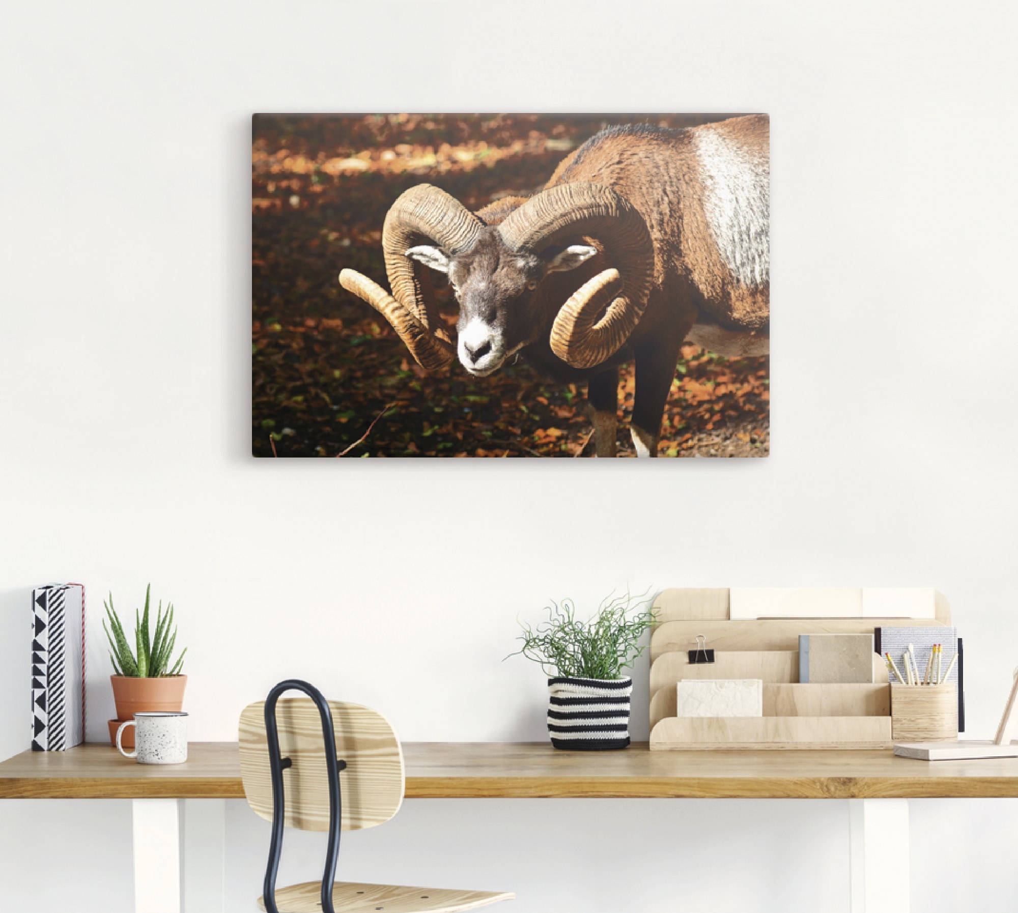Artland Leinwandbild »Mufflon«, Wildtiere, (1 St.), auf Keilrahmen gespannt