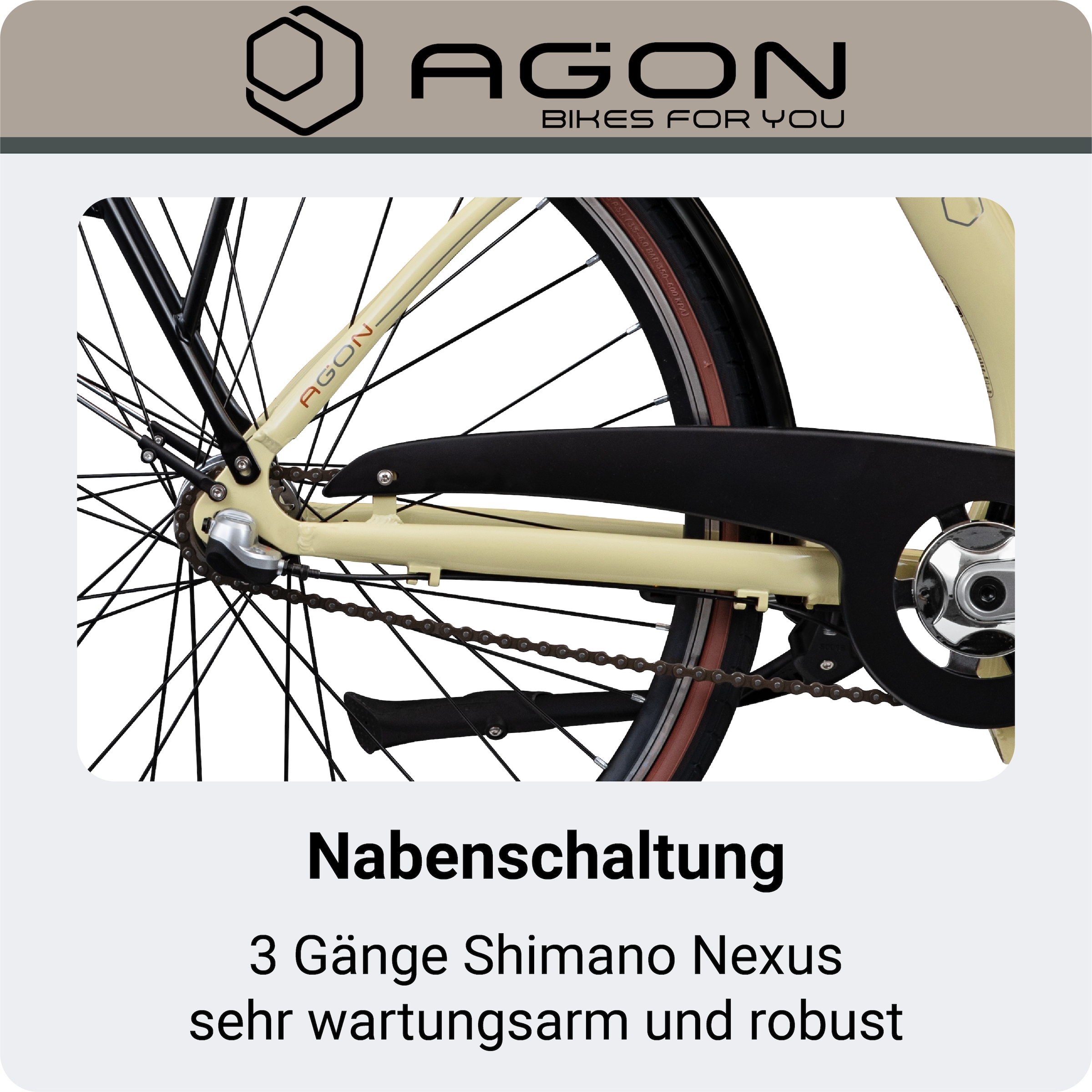 AGON »Assist« 3 Gang Nabenschaltung Frontmotor 250 W tiefer Einstieg