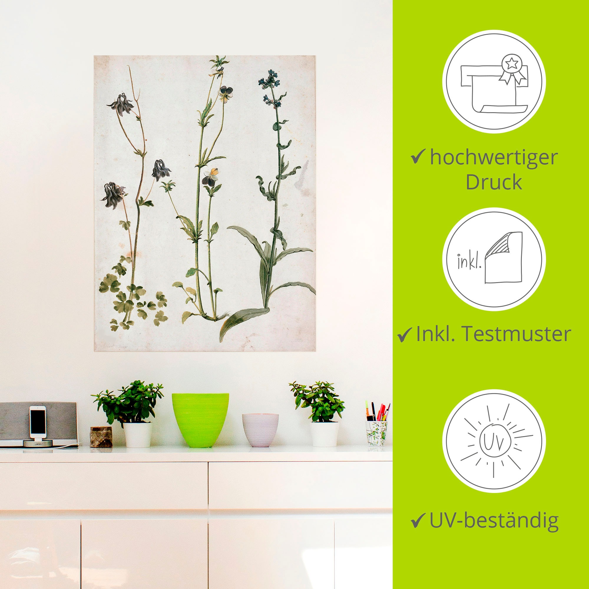 Artland Wandbild »Akelei, Stiefmütterchen und Ochsenzunge«, Blumenbilder, (1 St.), als Leinwandbild, Wandaufkleber in verschied. Größen