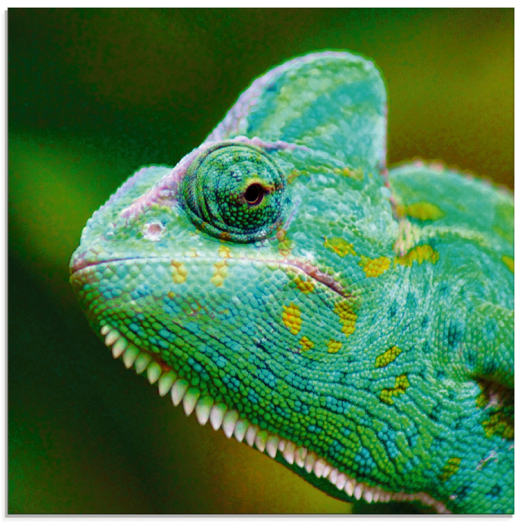Artland Glasbild »Jemenchamäleon Portrait«, Reptilien, (1 St.), in verschiedenen Größen
