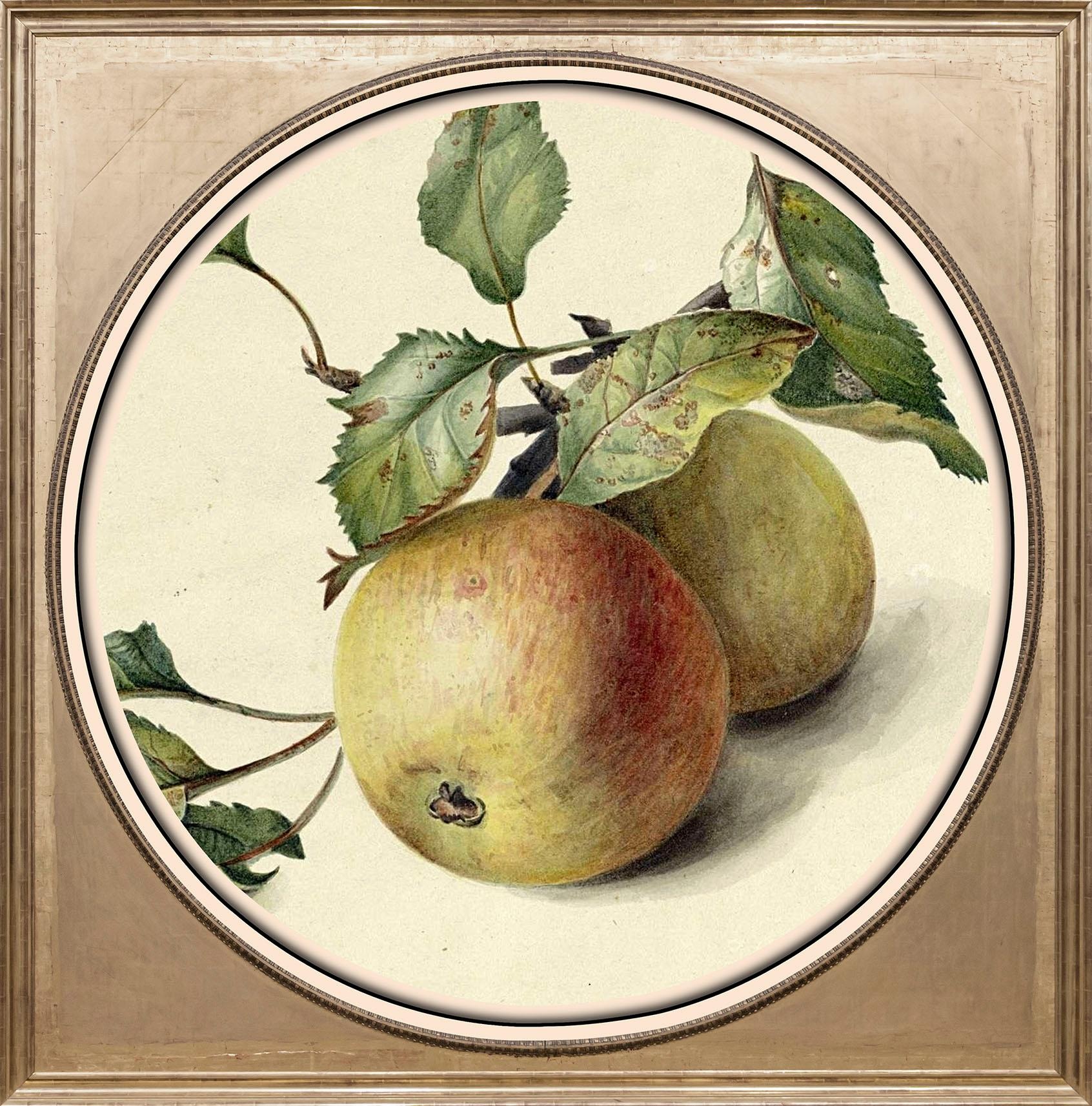 queence Acrylglasbild »Äpfel«, Obst-Obst Bilder-Kunst-Gemälde, Fine Art-Pri günstig online kaufen