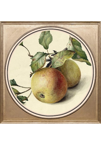 Acrylglasbild »Äpfel«