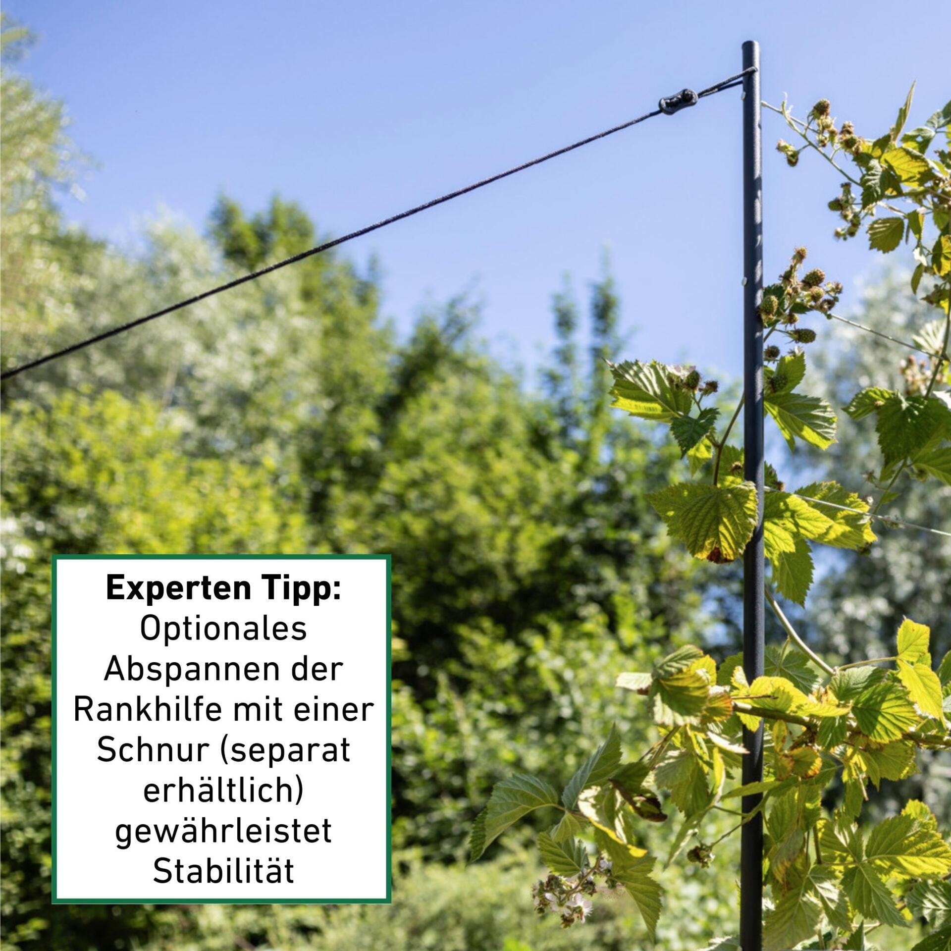 Windhager Rankhilfe »mit Edelstahlseilen für Hoch- und Gemüsebeete« Rankgitter Komplett-Set, 190 x 148 cm, Metall