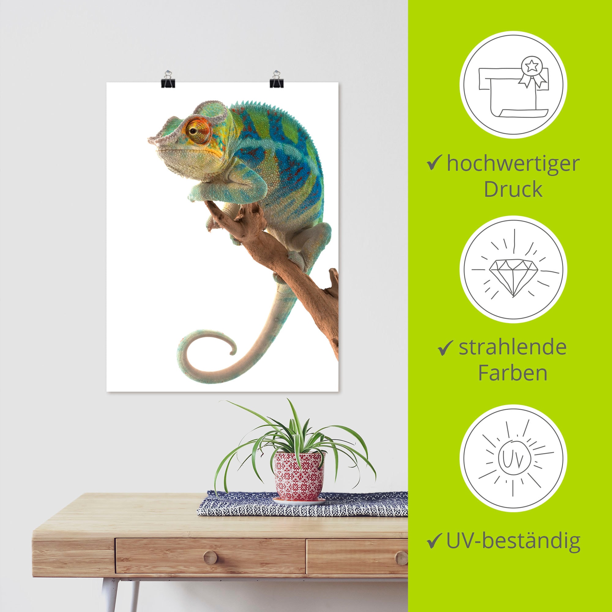Artland Wandbild »Ambanja Panther Chamäleon«, Reptilien, (1 St.), als Leinwandbild, Poster in verschied. Größen