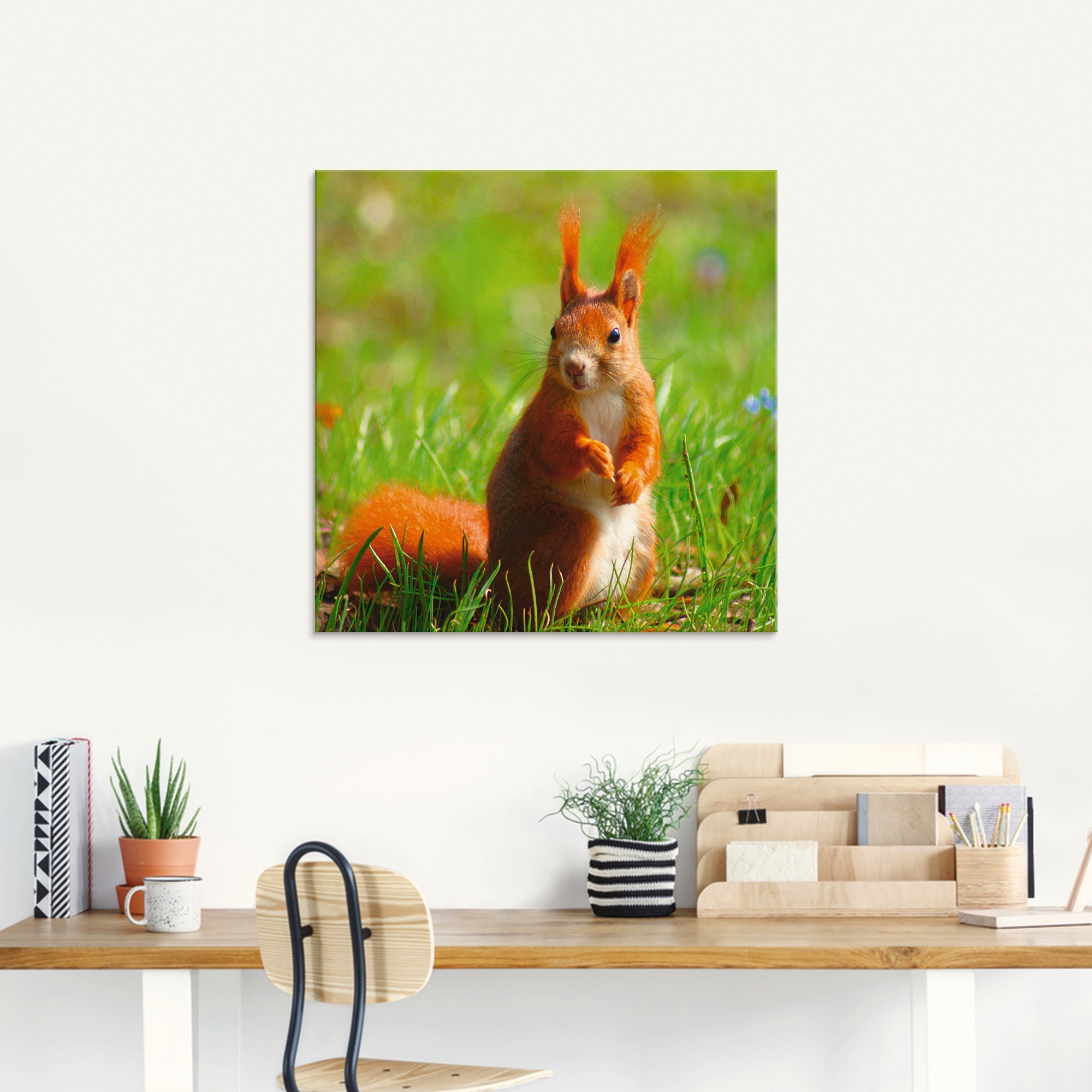 Artland Glasbild »Eichhörnchen Kontakt«, Wildtiere, (1 St.), in verschieden günstig online kaufen