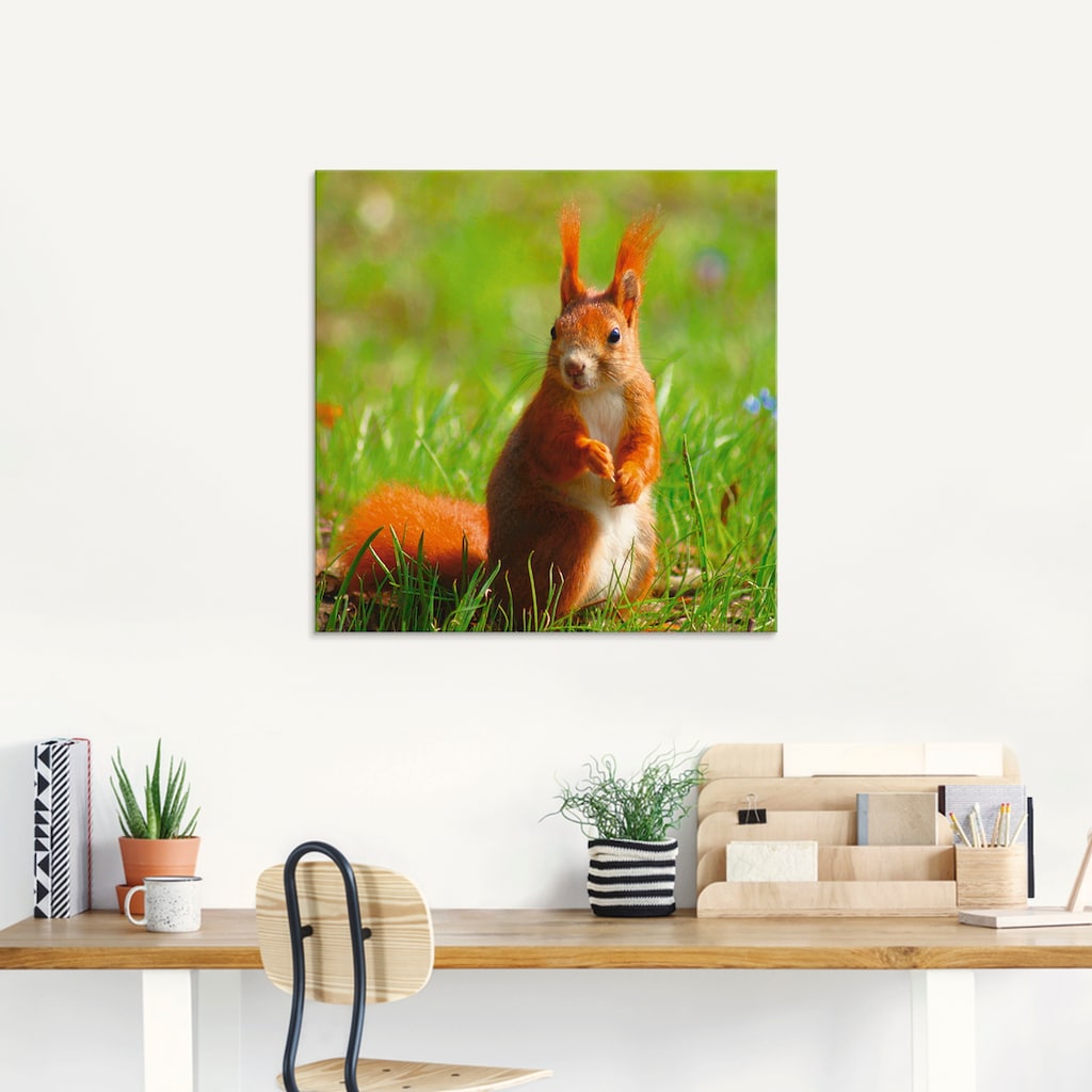 Artland Glasbild »Eichhörnchen Kontakt«, Wildtiere, (1 St.)