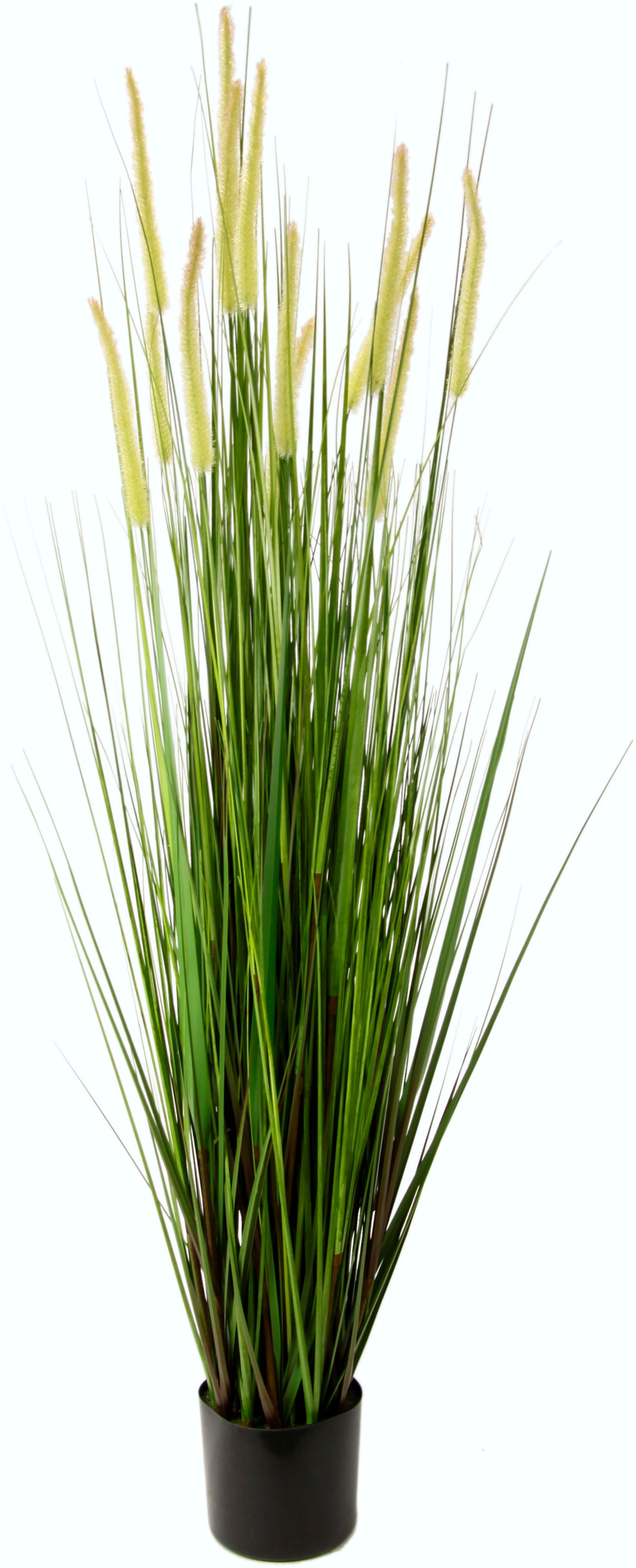 I.GE.A. Kunstgras »Fuchsschwanzgras« im Kunststofftopf günstig online kaufen