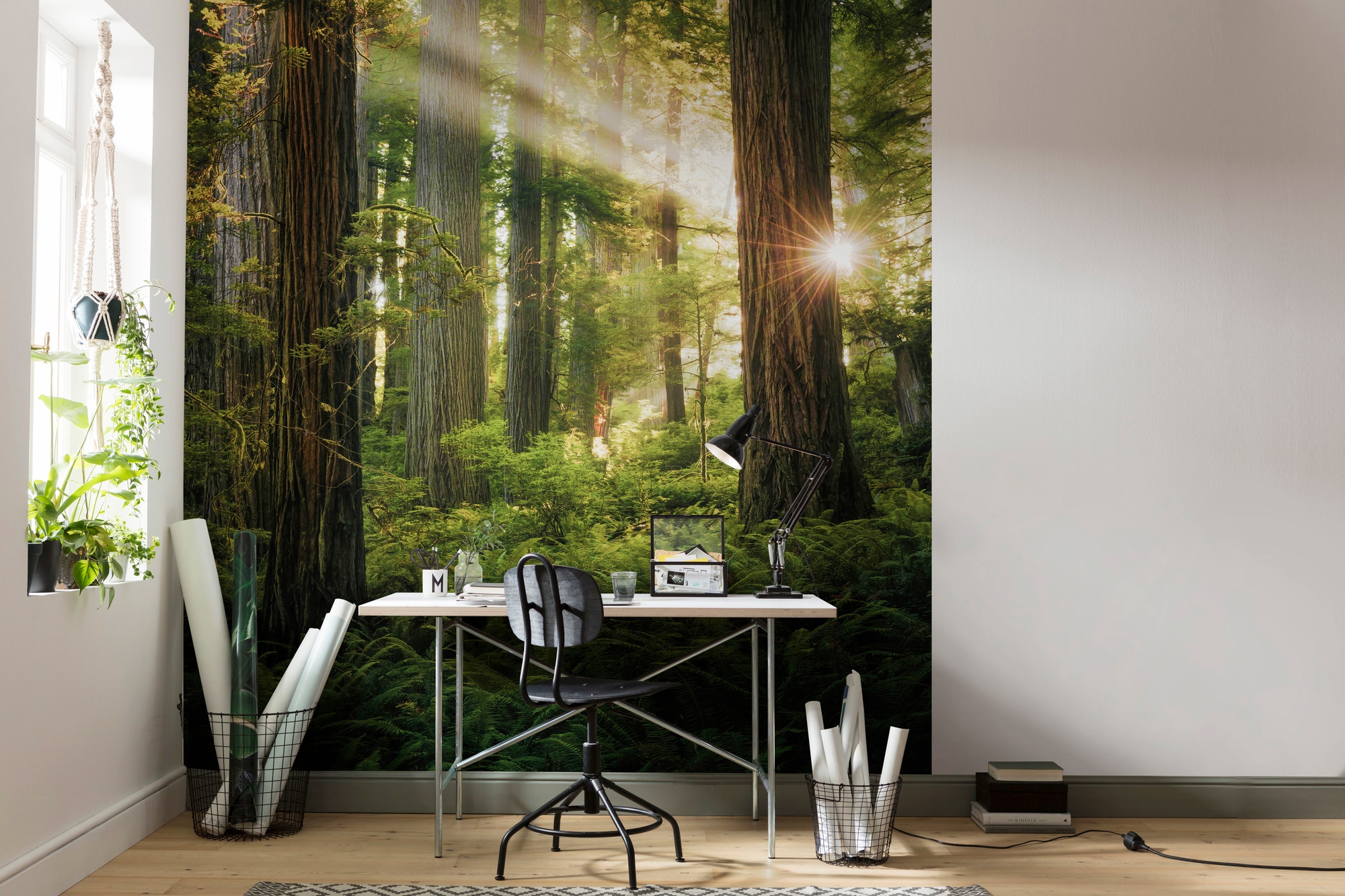 Komar Vliestapete »Digitaldruck Vlies -  Goblins Woods - Größe 250 x 280 cm« bedruckt glatt Wohnzimmer, Schlafzimmer