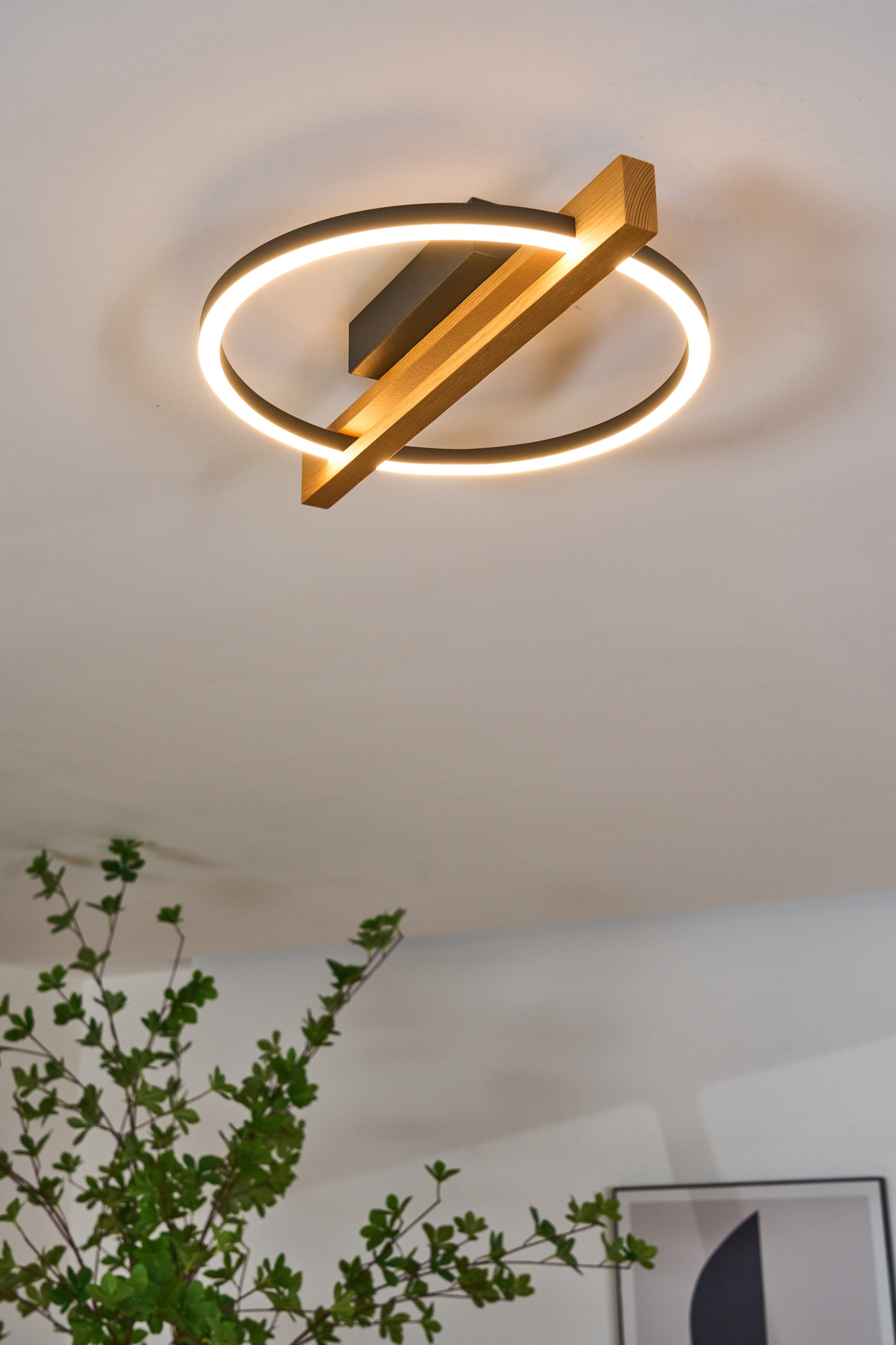 ECO-LIGHT LED Deckenleuchte »LED-Deckenleuchte TOVAK«, 1 flammig, Leuchtmittel LED-Board | LED fest integriert