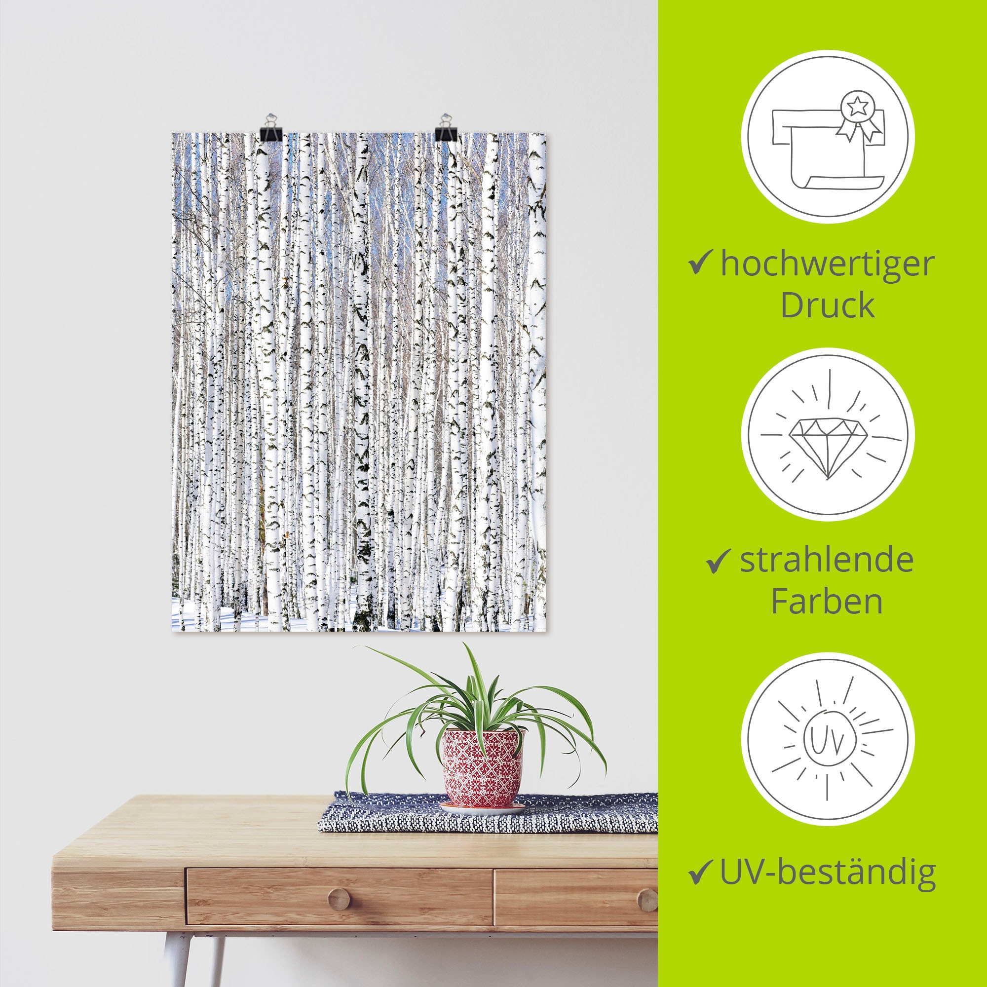 Artland Wandbild »Winterbirkenwald Wintergelassenheit«, Bäume, (1 St.), als Leinwandbild, Poster in verschied. Größen