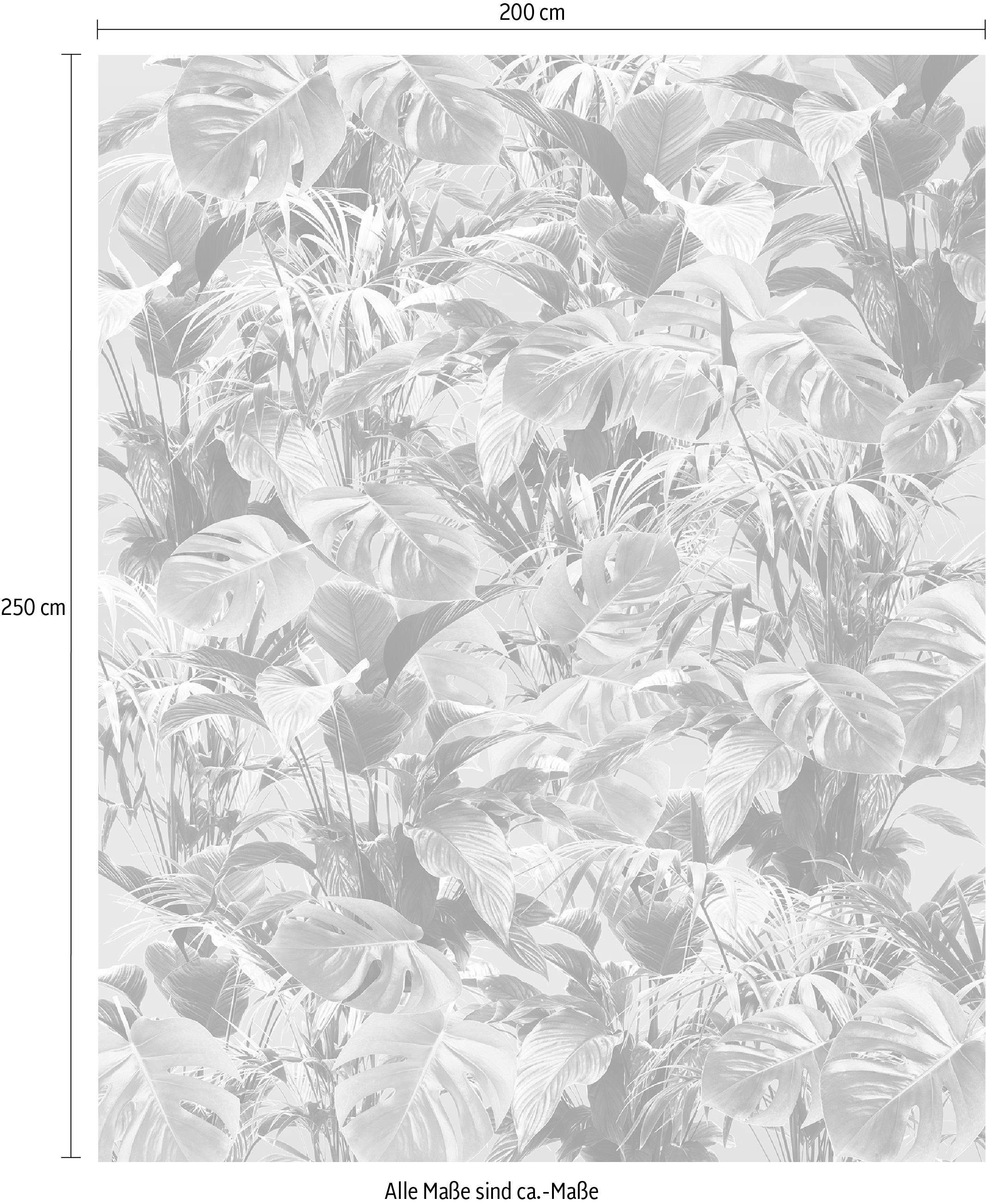 Komar Vliestapete »Digitaldruck Vlies - Evergreen - Größe 200 x 250 cm«, bedruckt, Wohnzimmer, Schlafzimmer