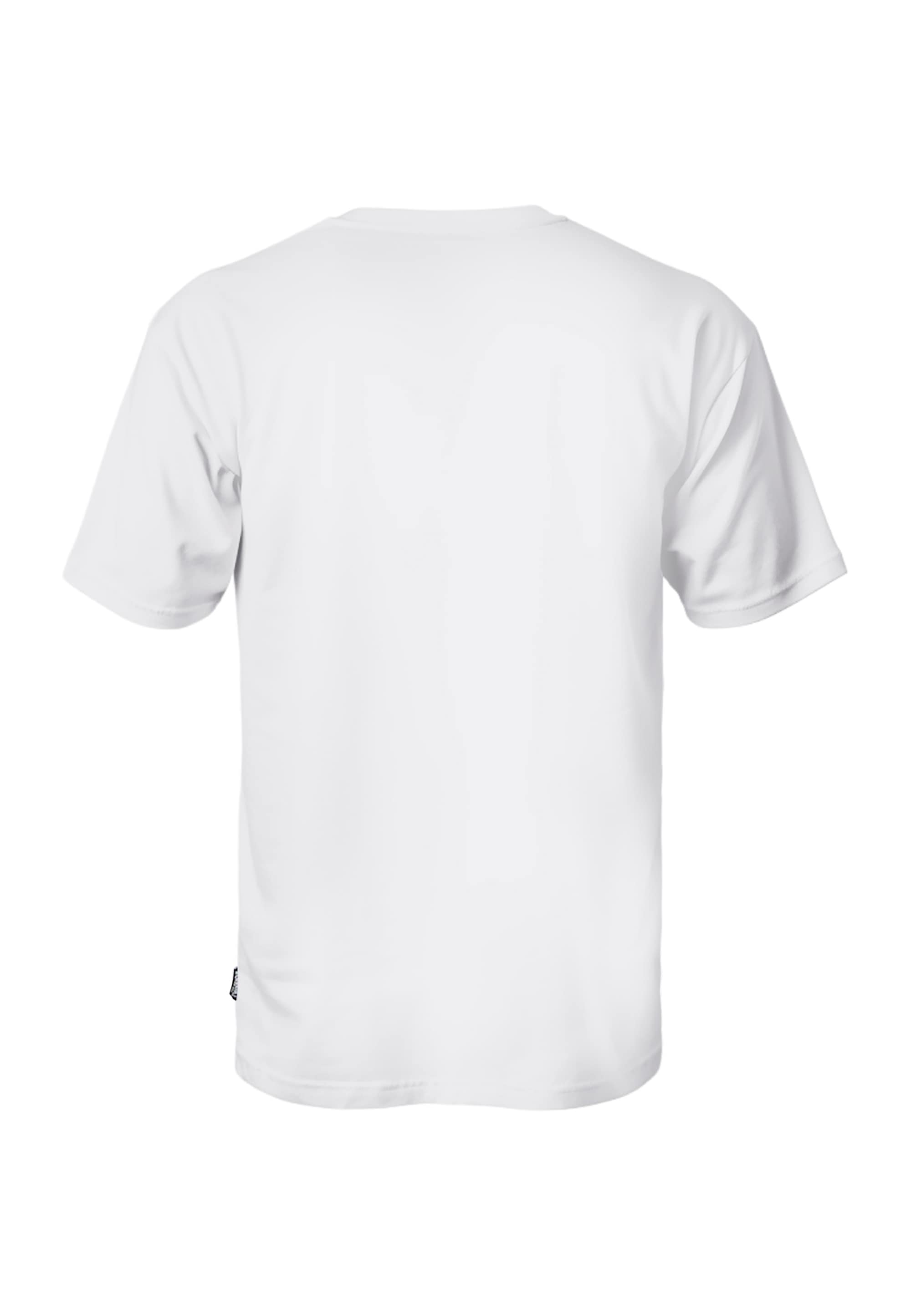 Oldskull T-Shirt »Asian Koi« 1 Stk. mit coolem Print