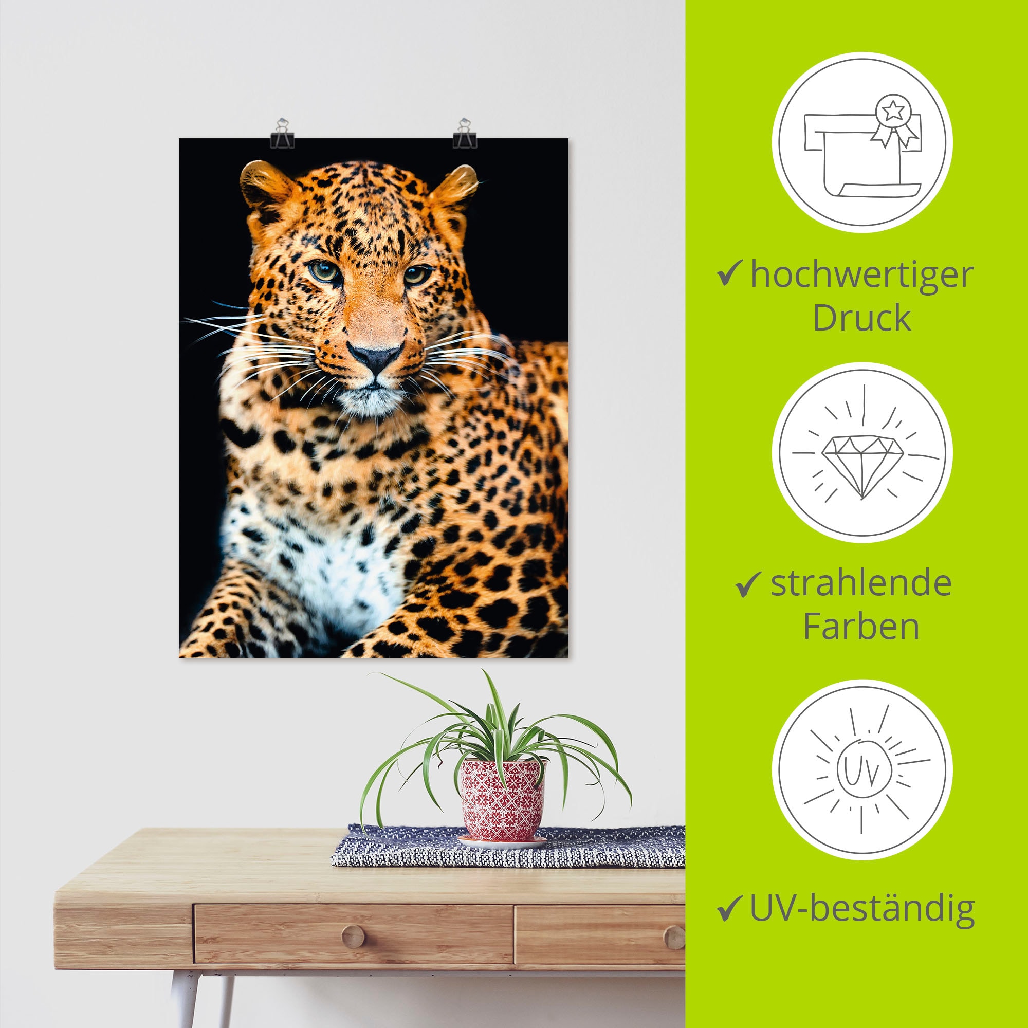 Artland Wandbild »Wütender wilder Leopard«, Wildtiere, (1 St.), als Alubild, Outdoorbild, Leinwandbild, Poster, Wandaufkleber