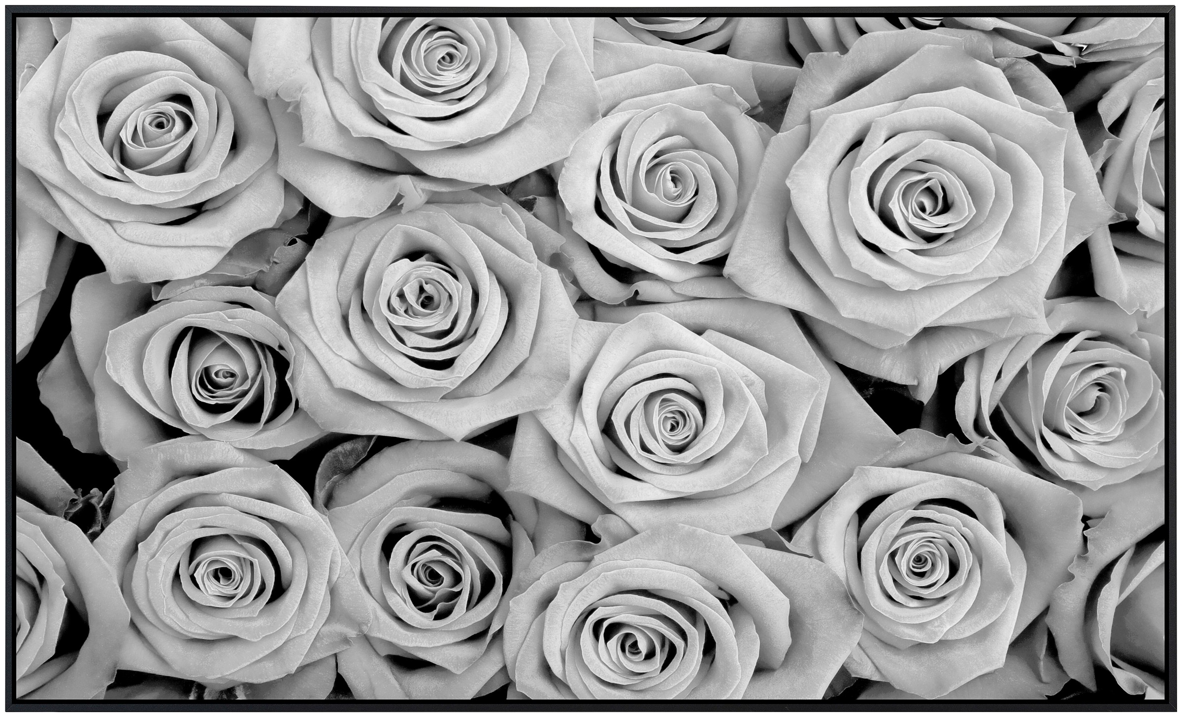Papermoon Infrarotheizung »Blumen Schwarz & Weiß«, sehr angenehme Strahlungswärme