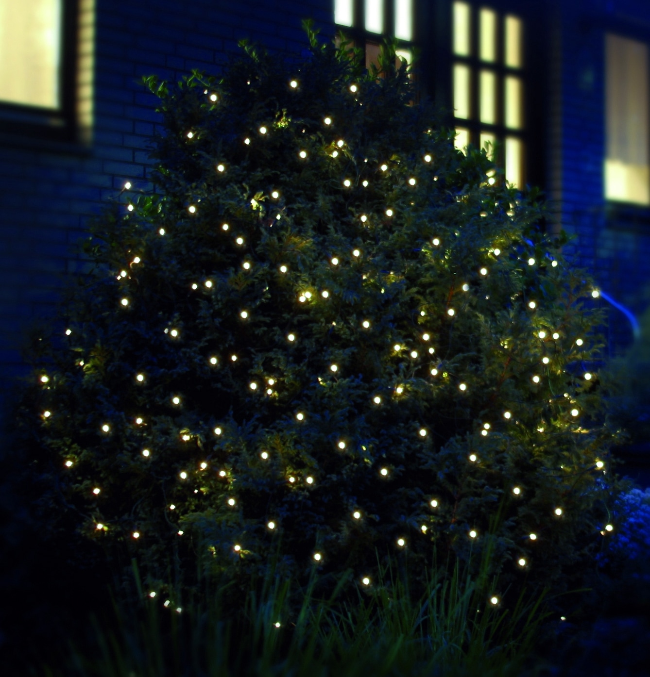 LED-Lichternetz »Weihnachtsdeko aussen«, mit zahlreichen warmweißen LEDs, für den...