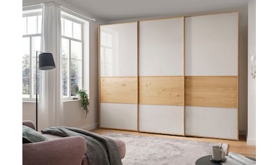 Müller SMALL LIVING Kleiderschrank »PLANE Ausstattung Nr. 3«, Inklusive  einer innenliegenden Tür, einer Kleiderstange und 12 Fächern online kaufen