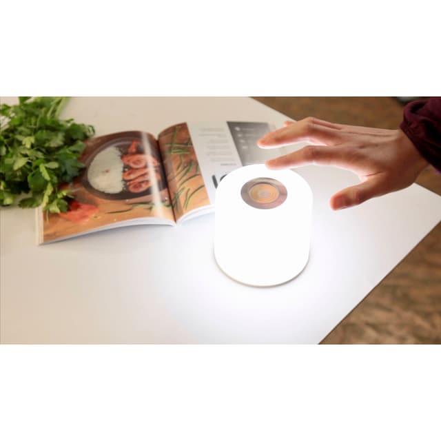 1 online bestellen LUTEC »NOMA«, Tischleuchte LED-Leuchte flammig-flammig, Smarte Smart-Home