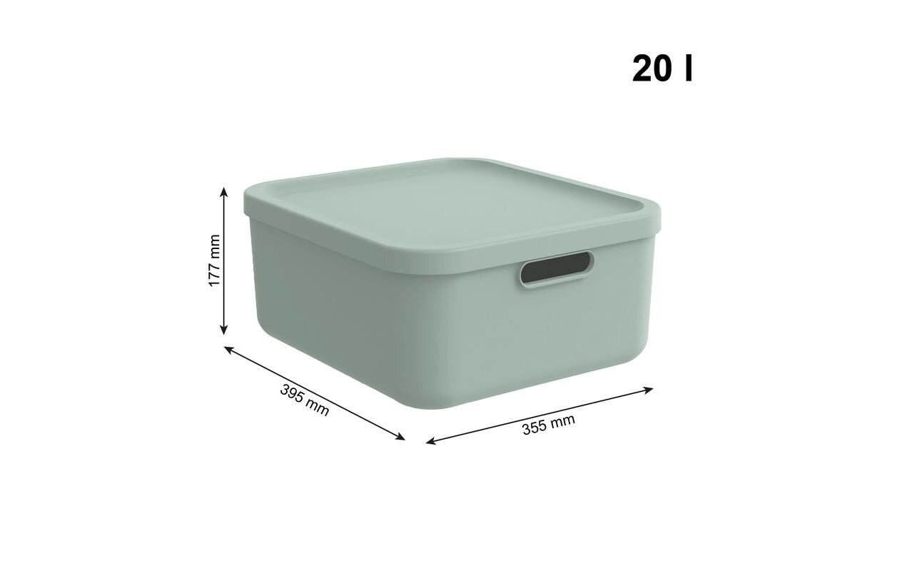 Rotho Babydesign Aufbewahrungsbox »KAYO M«