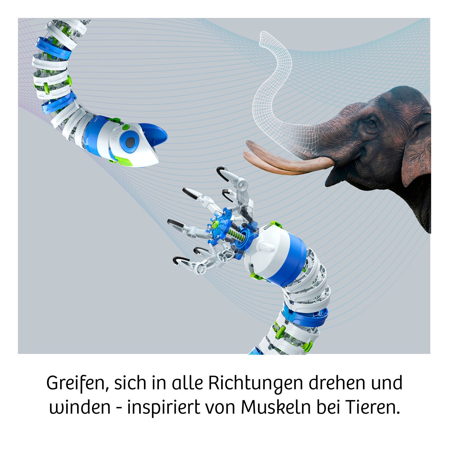 Kosmos Modellbausatz »Bionic Robotic Arm«