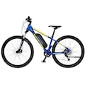 FISCHER Fahrrad E-Bike »MONTIS 2.1 Junior 422«, 9 Gang, (mit Akku-Ladegerät-mit Werkzeug)