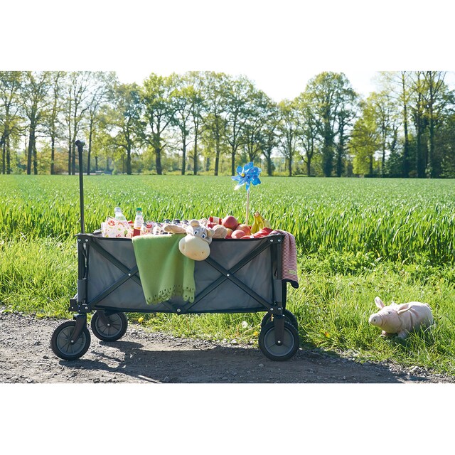 Pinolino® Bollerwagen »Porti« online kaufen