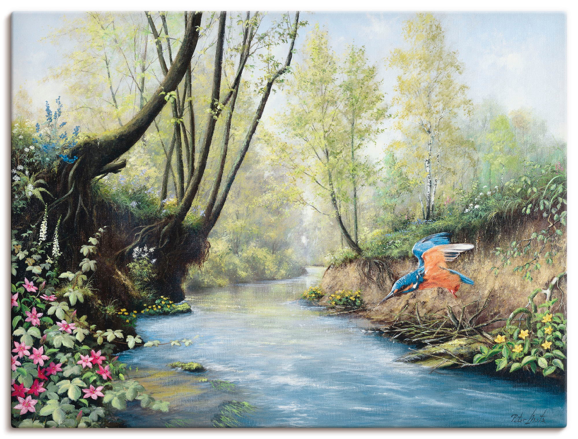 Artland Wandbild »Eisvogel III« Gewässer 1 Stk. tlg. als Leinwandbild, Post günstig online kaufen