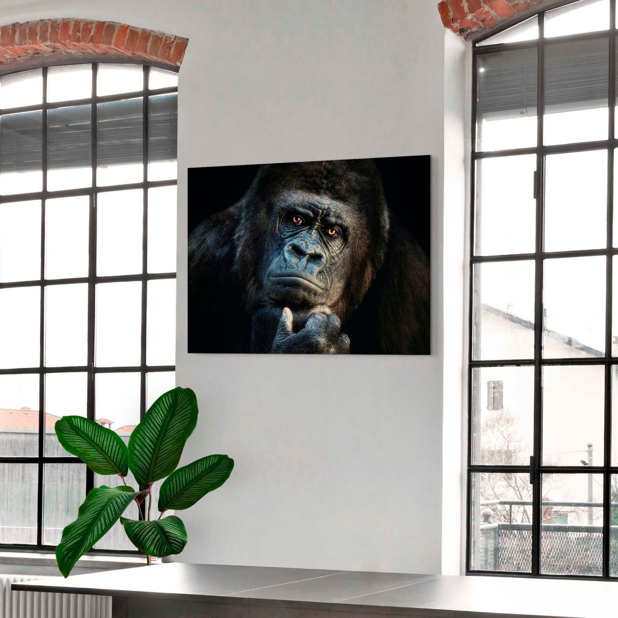 Platinum Alu-Dibond-Druck "Gorilla", 1, (1 St.), Joachim G. Pinkawa günstig online kaufen