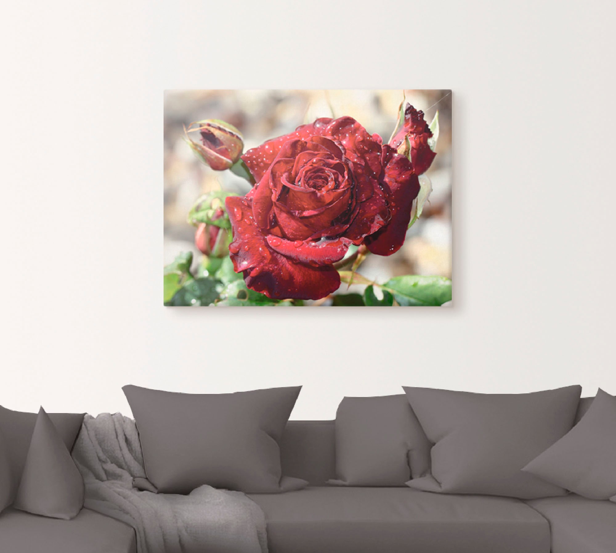 Artland Wandbild »Tröpfchenrose«, Blumen, (1 St.), als Leinwandbild, Poster günstig online kaufen