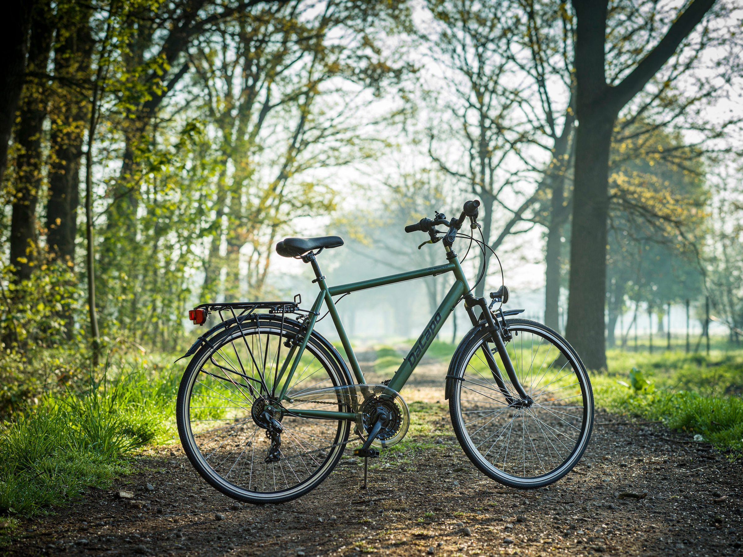 Dacapo Trekkingrad »Trekkingrad Herren 28'' Montreal Olivgrün 21 Gänge RH 58 cm«, 21 Gang, Kettenschaltung