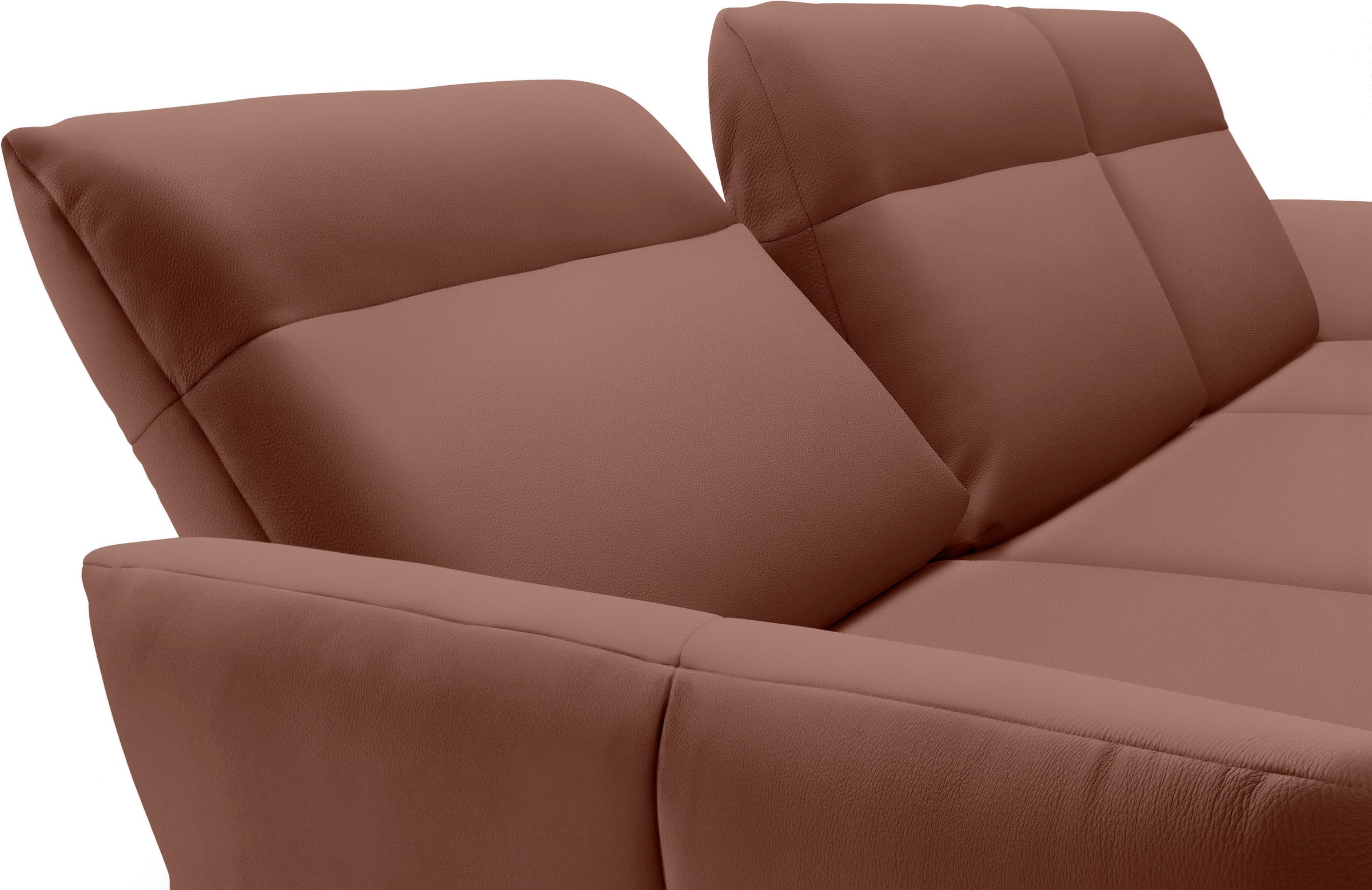 Creation BY ROLF BENZ Ecksofa »CR.460«, Sockel in Eiche, Alugussfüße in umbragrau, Breite 298 cm