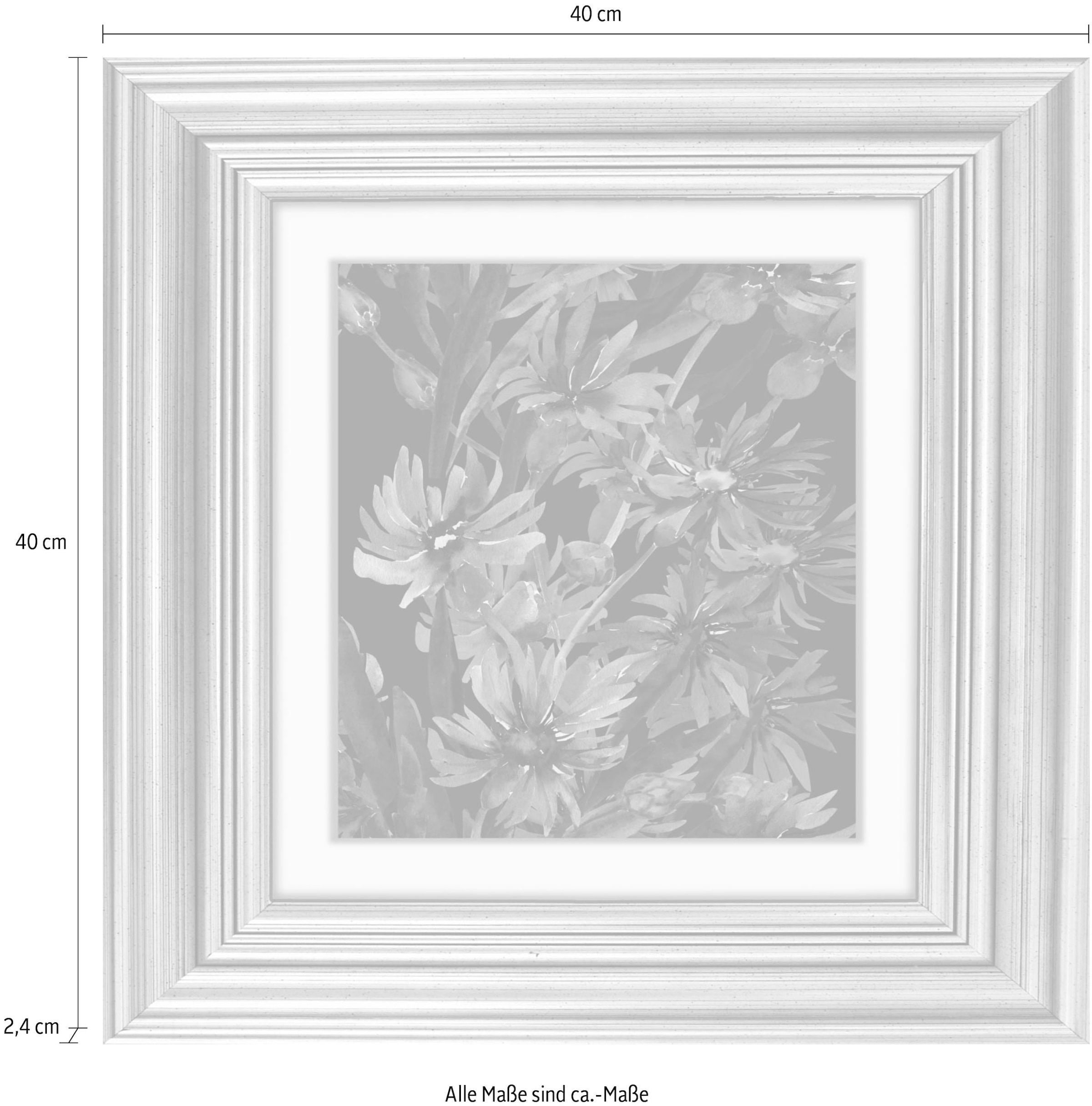 queence Acrylglasbild »Blumen«, Blumen-Blumenbilder-Kunst-Pflanzen-Pflanzenbilder-Gemälde, Fine Art-Print in Galeriequalität