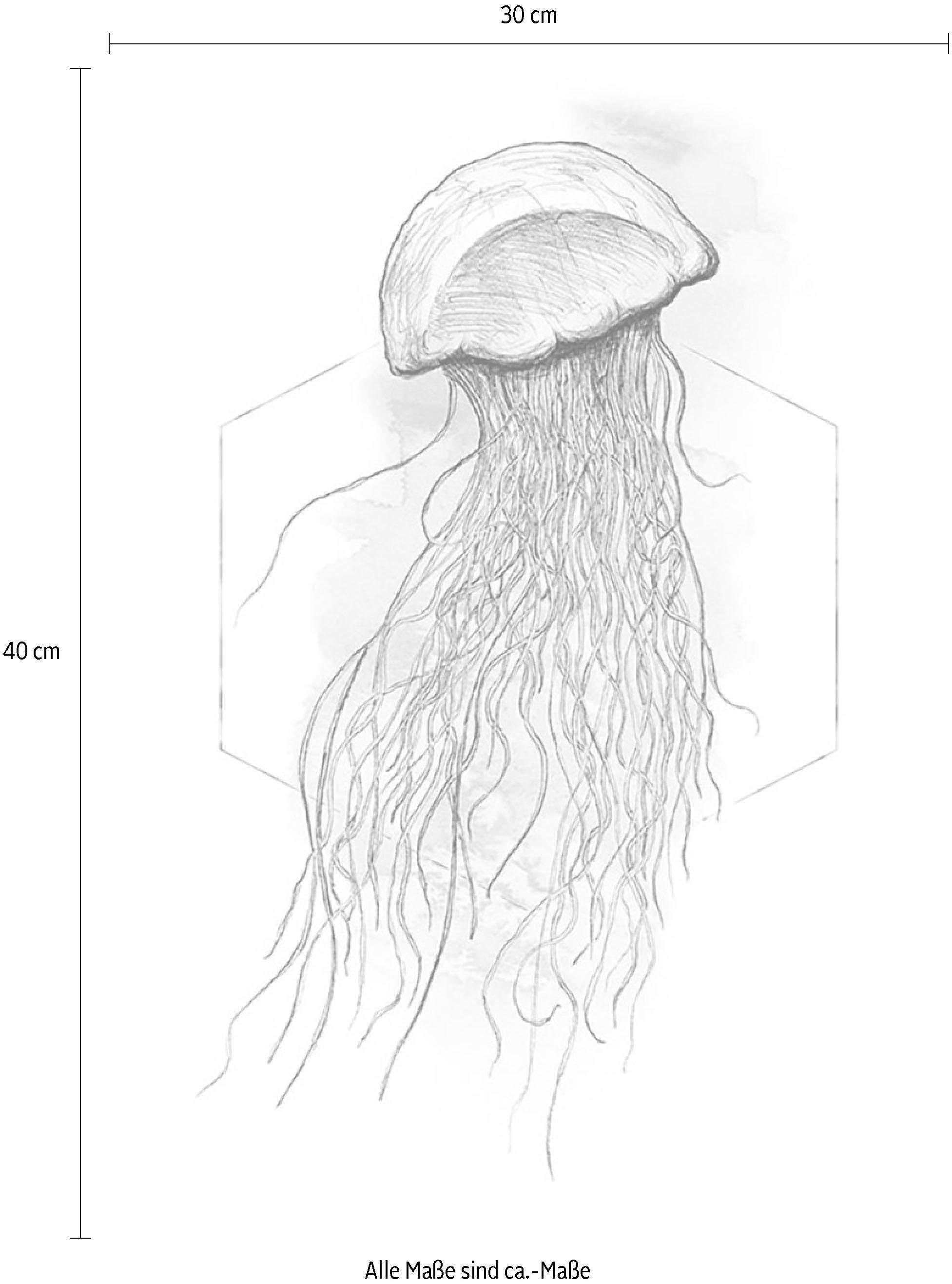 Komar Bild »Jellyfish Watercolor«, Tiere, (1 St.), Wandbild zur Dekoration - ohne Rahmen