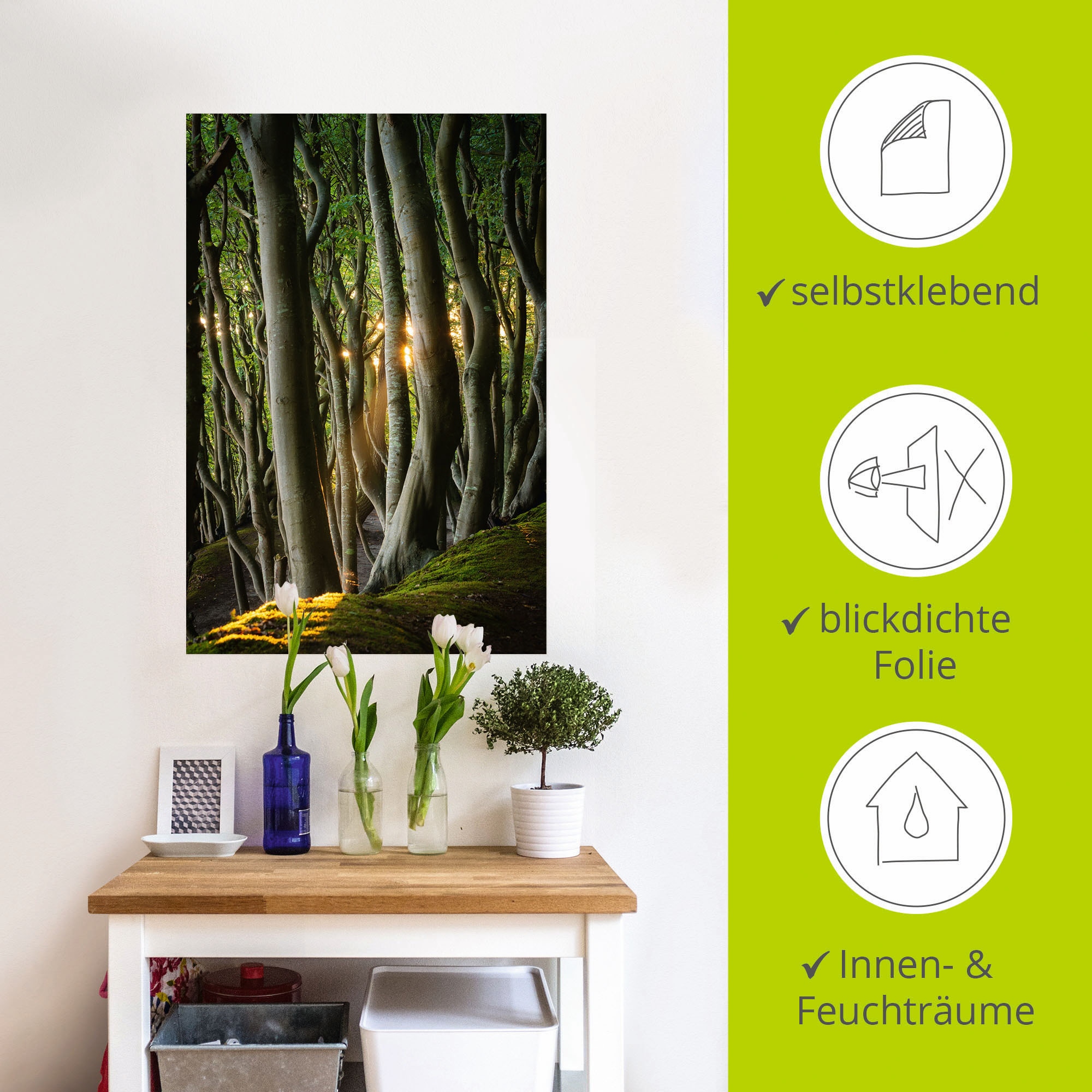 Artland Wandbild »Licht im Märchenwald«, Waldbilder, (1 St.), als Alubild, Leinwandbild, Wandaufkleber oder Poster in versch. Größen