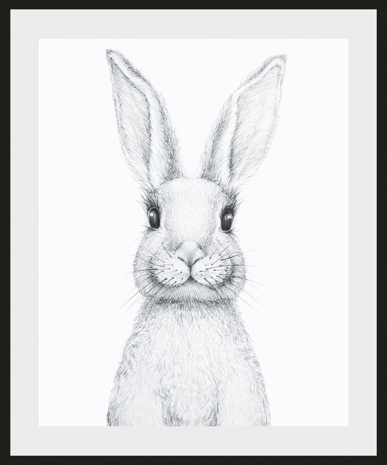 queence Bild "Aleksi", Hase, (1 St.) günstig online kaufen