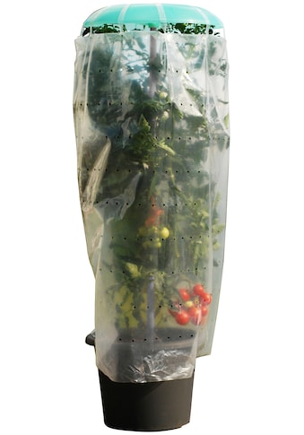 KHW Pflanzenschutzdach »Tomatenhut«, (20 St.), inkl. Stab und Schutzfolie, BxH: 49x120 cm kaufen