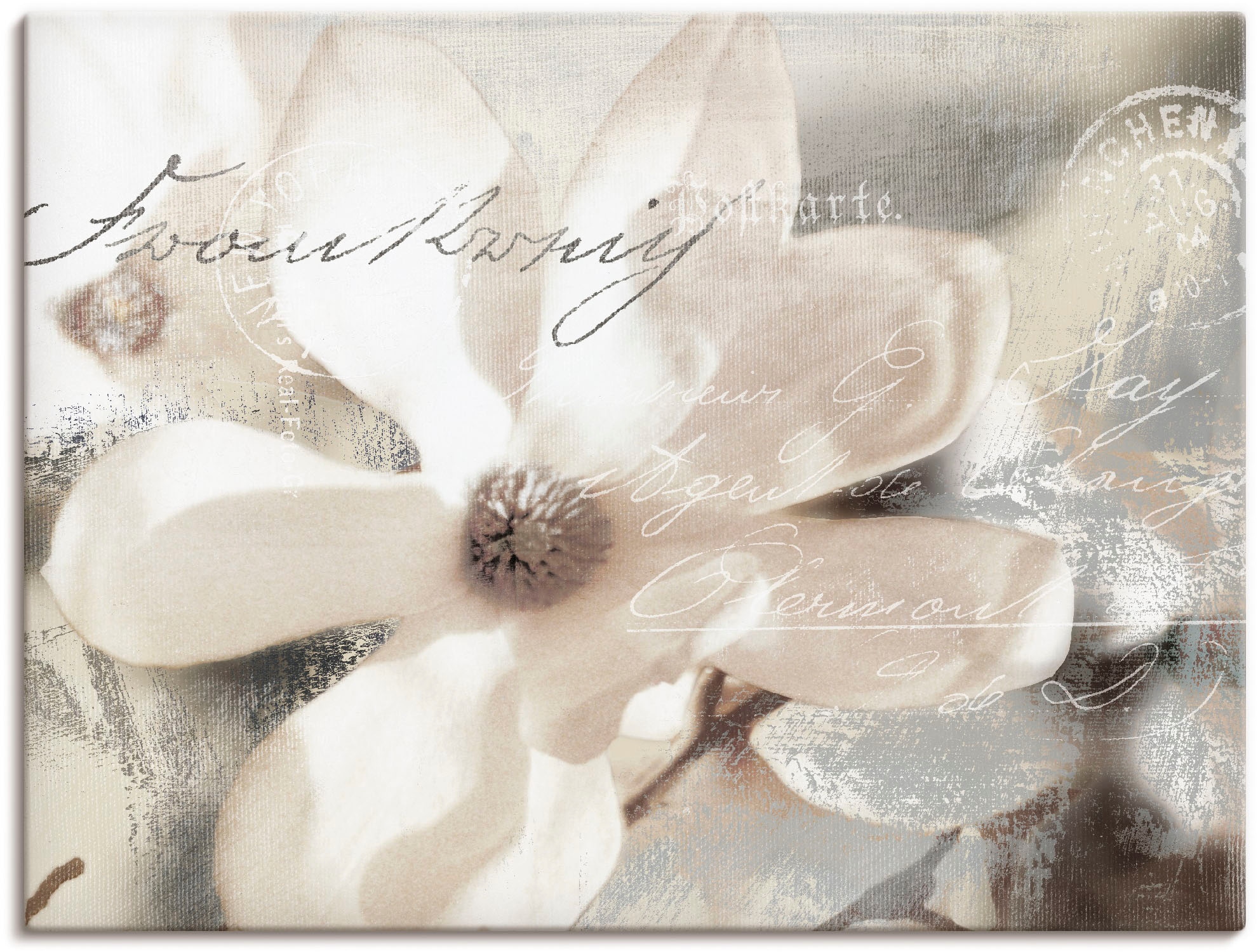Artland Wandbild »Magnolie_Detail«, Blumenbilder, (1 St.), als Alubild, Out günstig online kaufen