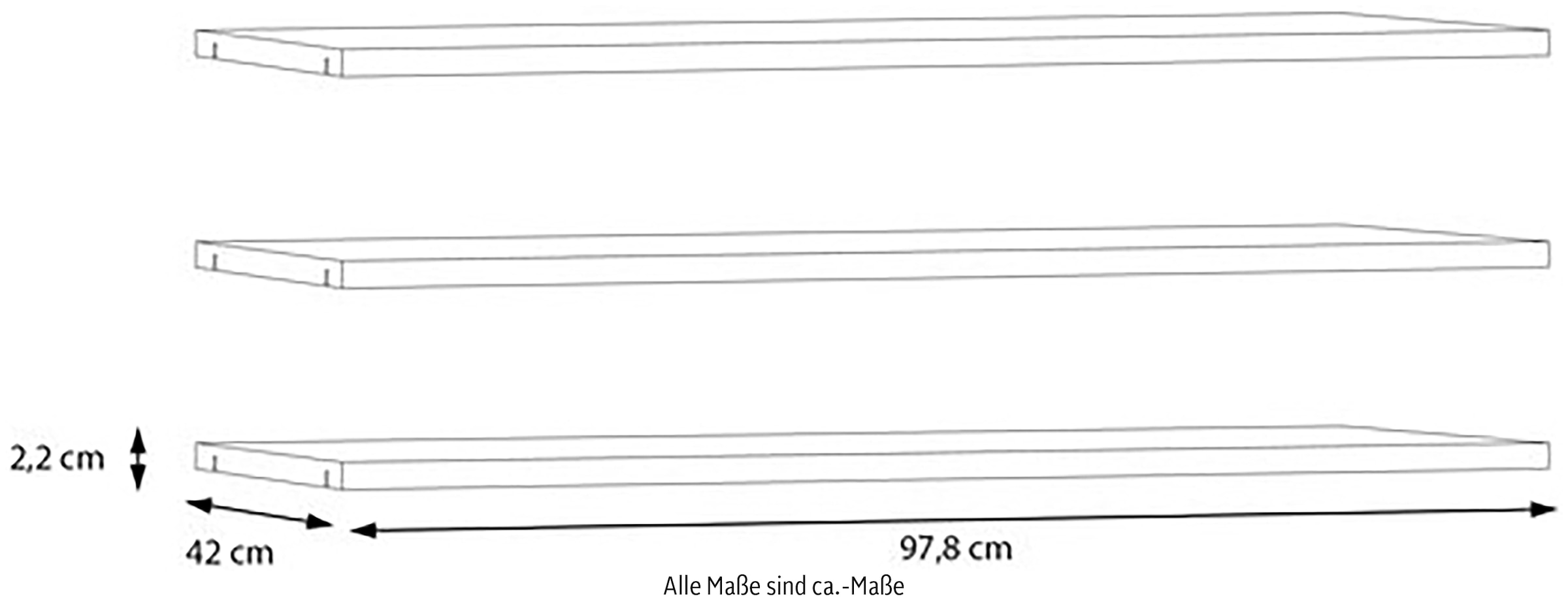 FORTE Einlegeboden Einlegeböden 2,2 cm Stärke, optional bestellbar, 3er Set