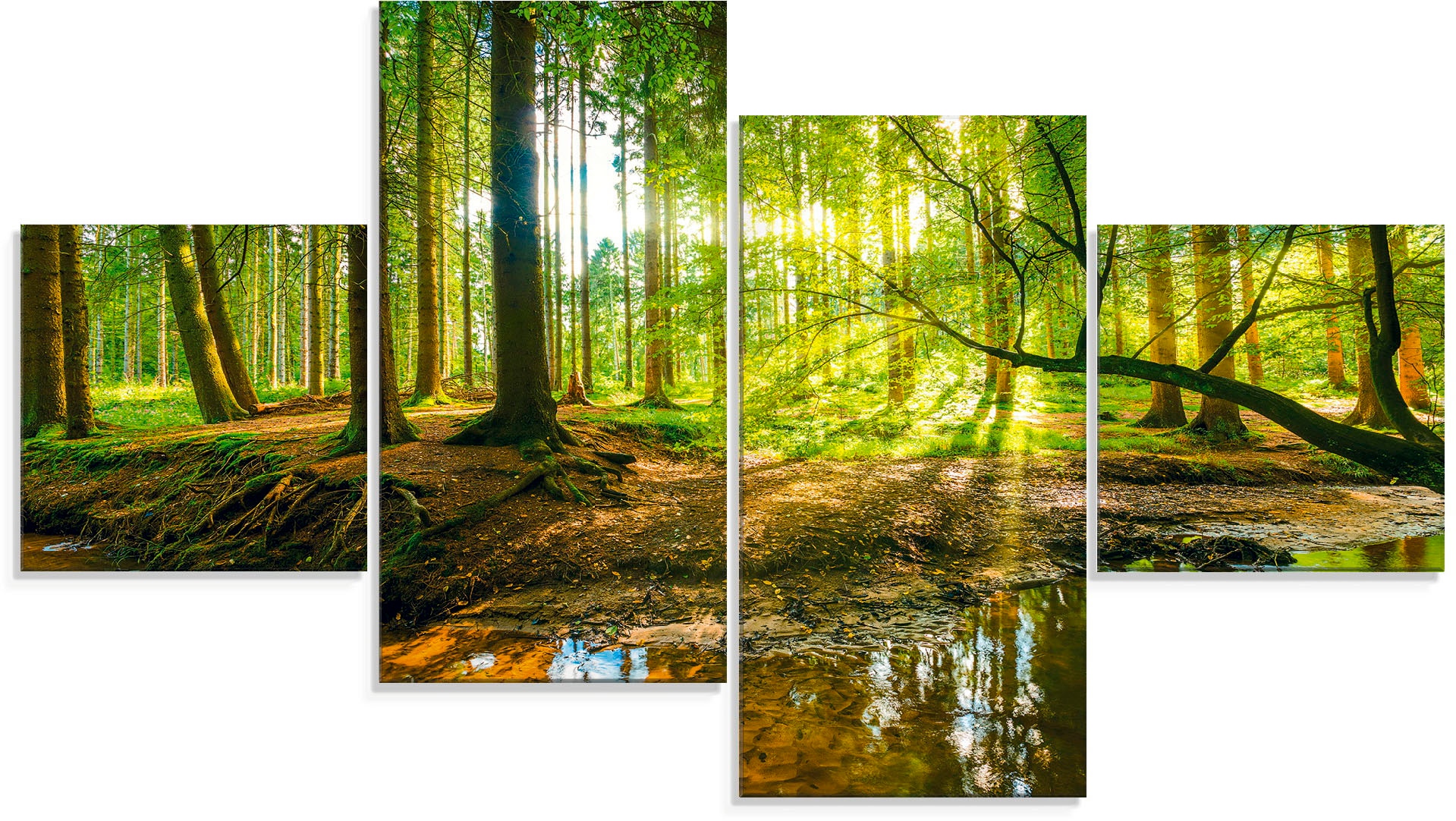 Artland Glasbild »Wald mit Bach«, Wald, (4 St.), in verschiedenen Größen