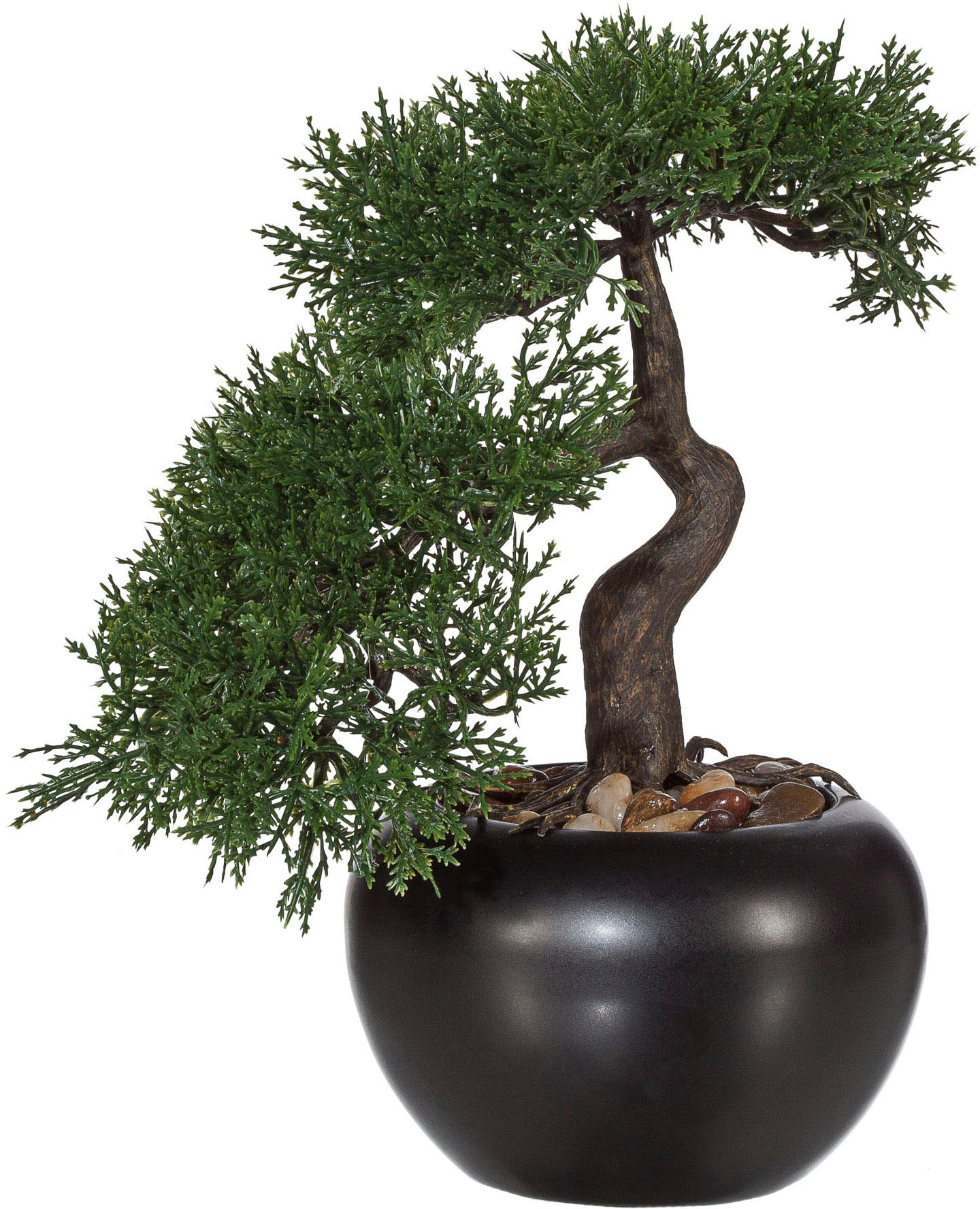 Kunstbonsai »Bonsai Zeder im Keramiktopf«