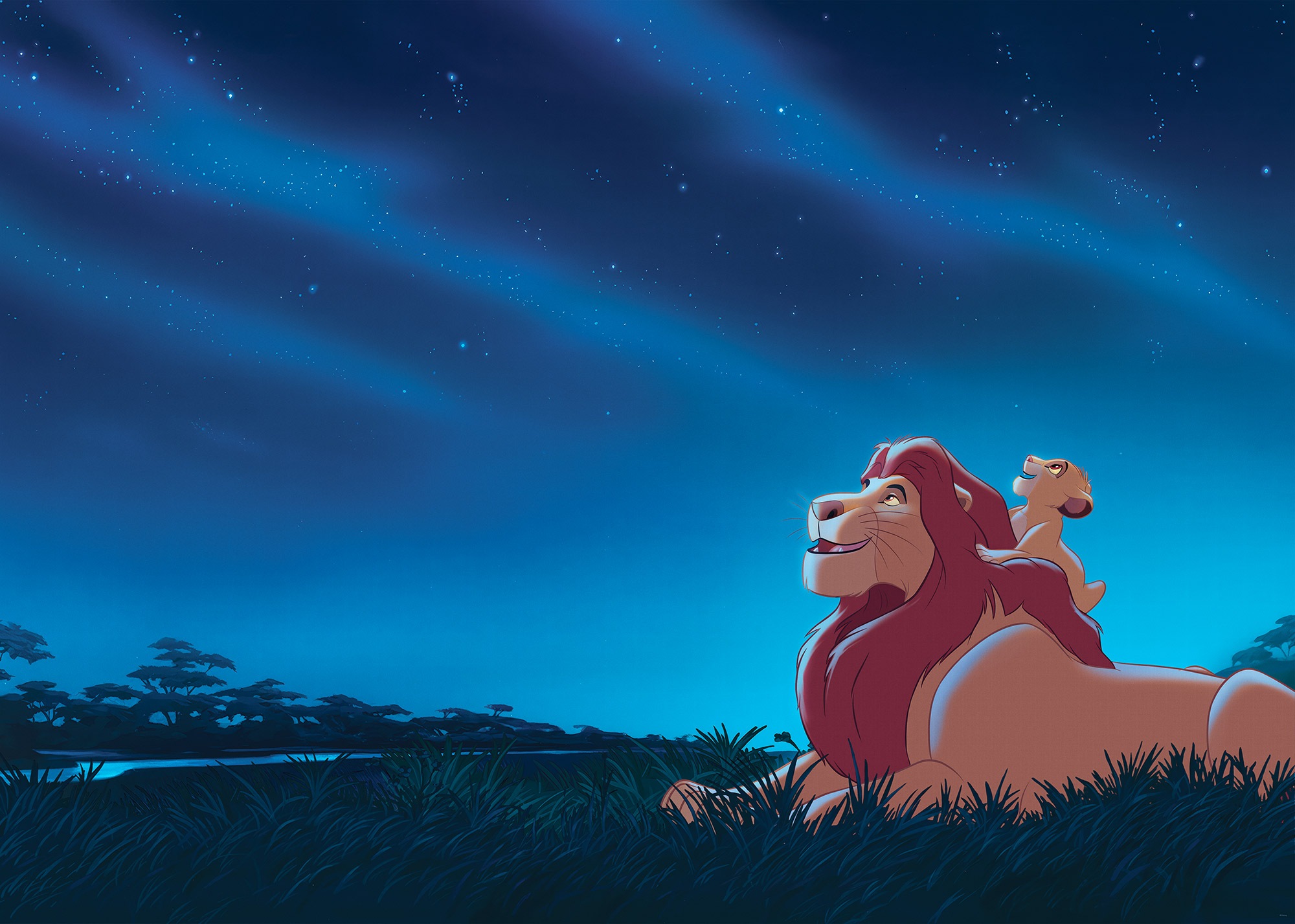 Komar Kindertapete »Disney The Lion King Stargazing«, bedruckt günstig online kaufen